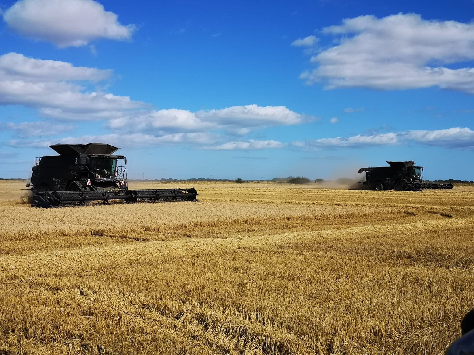 Harvest