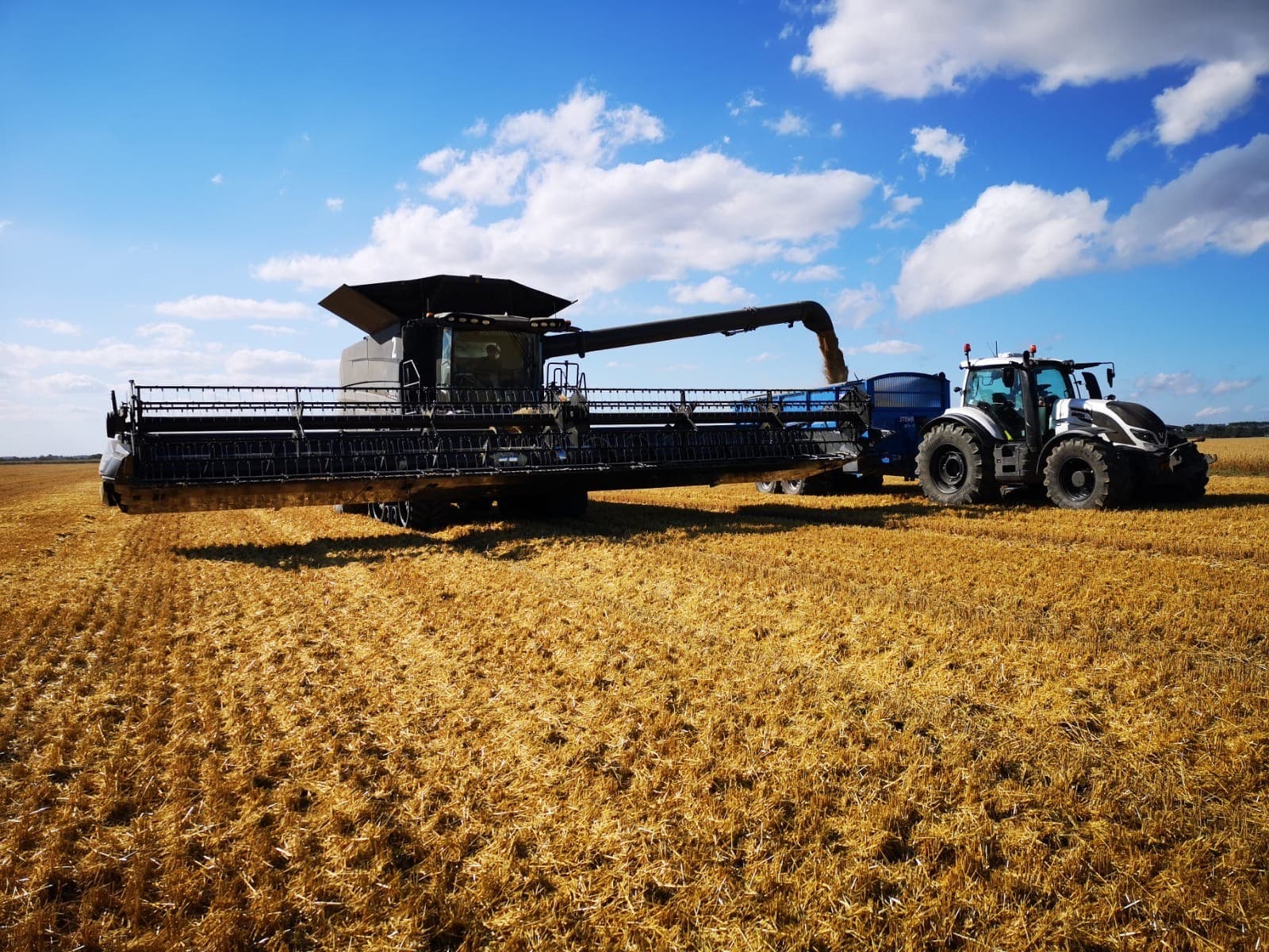 Harvest