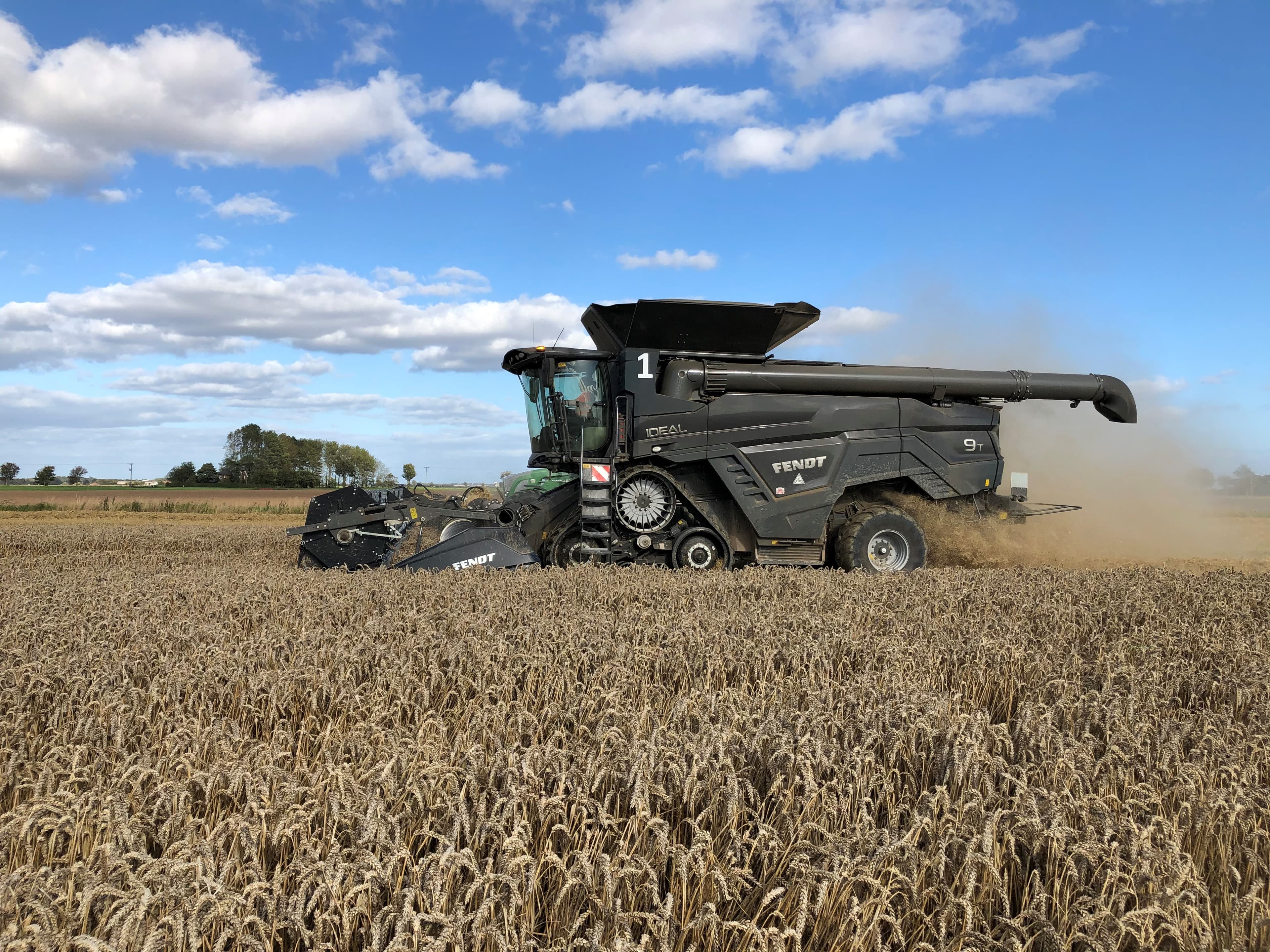 Harvest