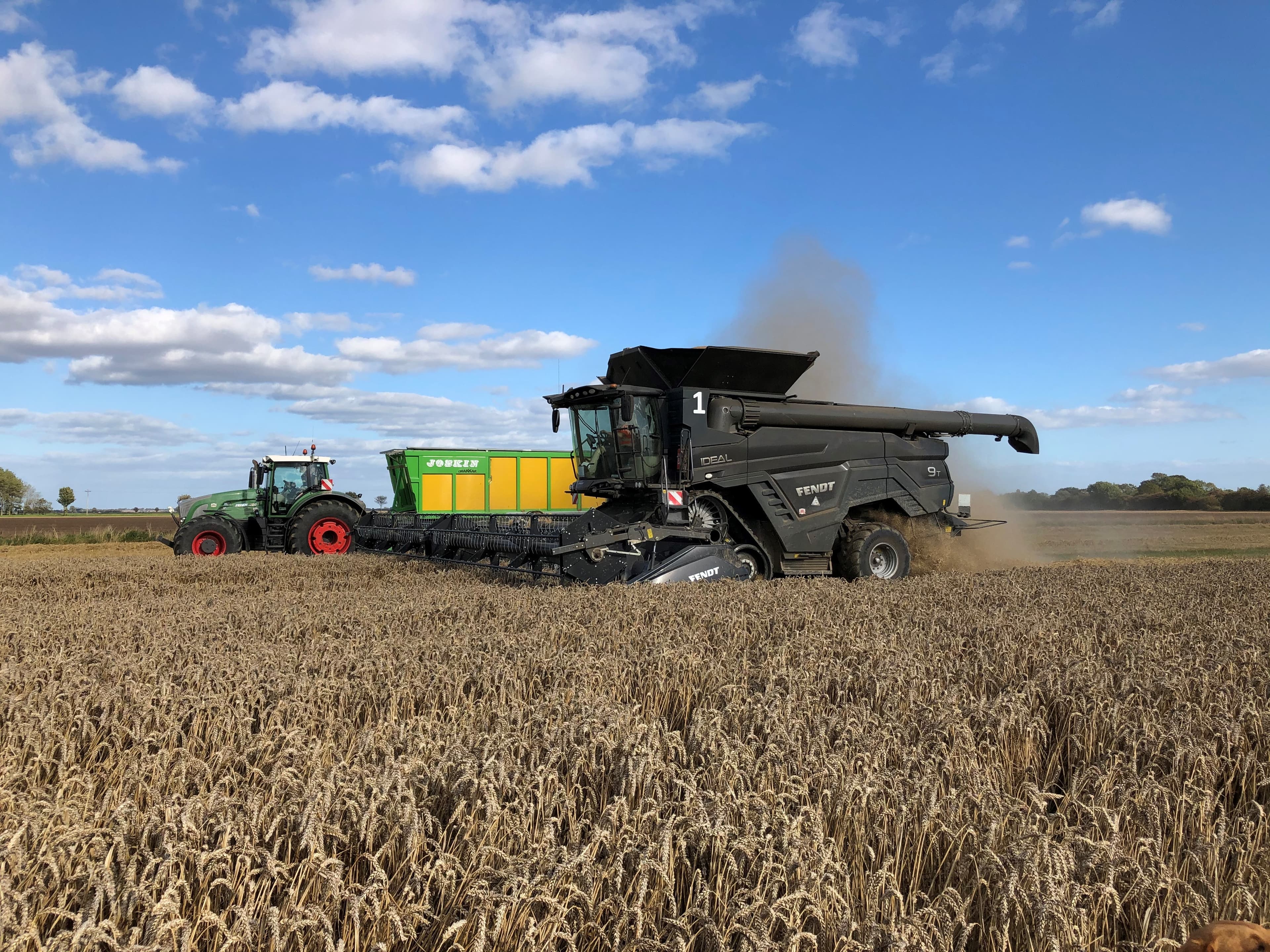 Harvest