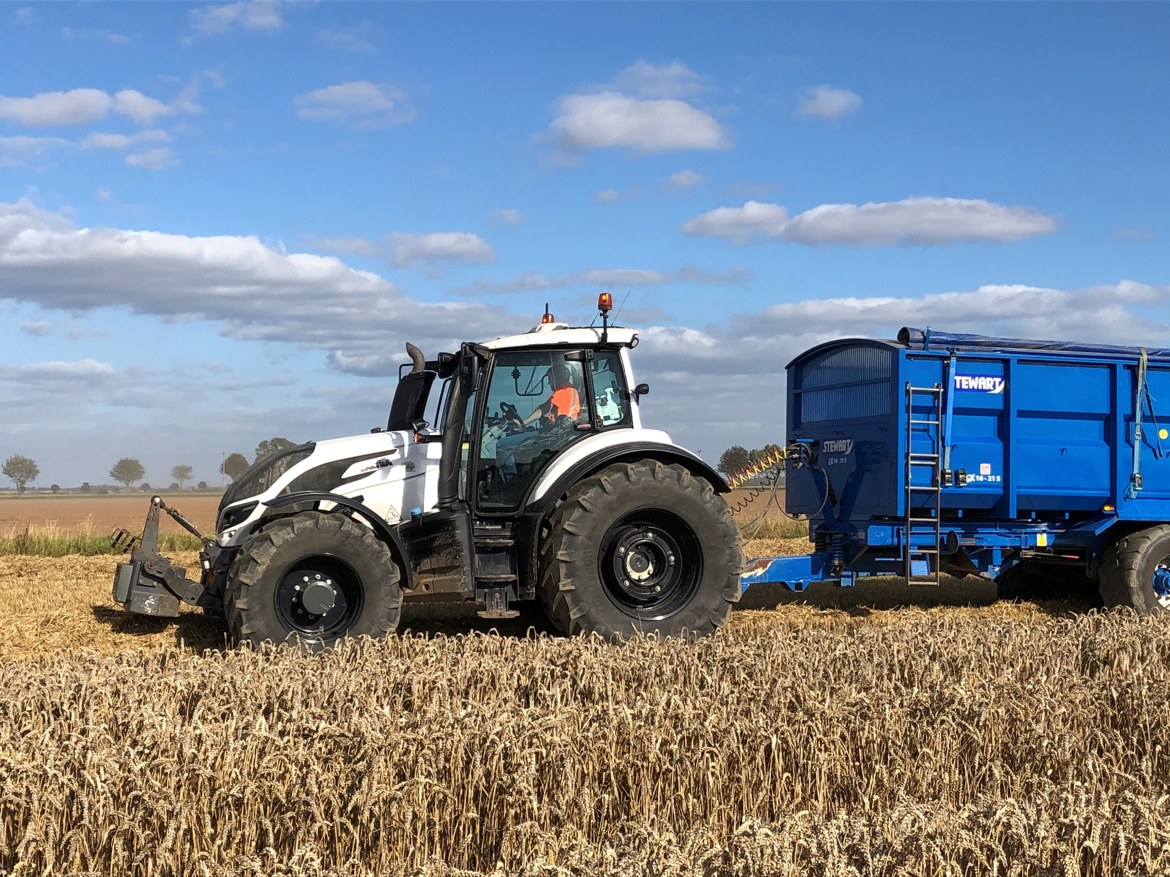 Harvest
