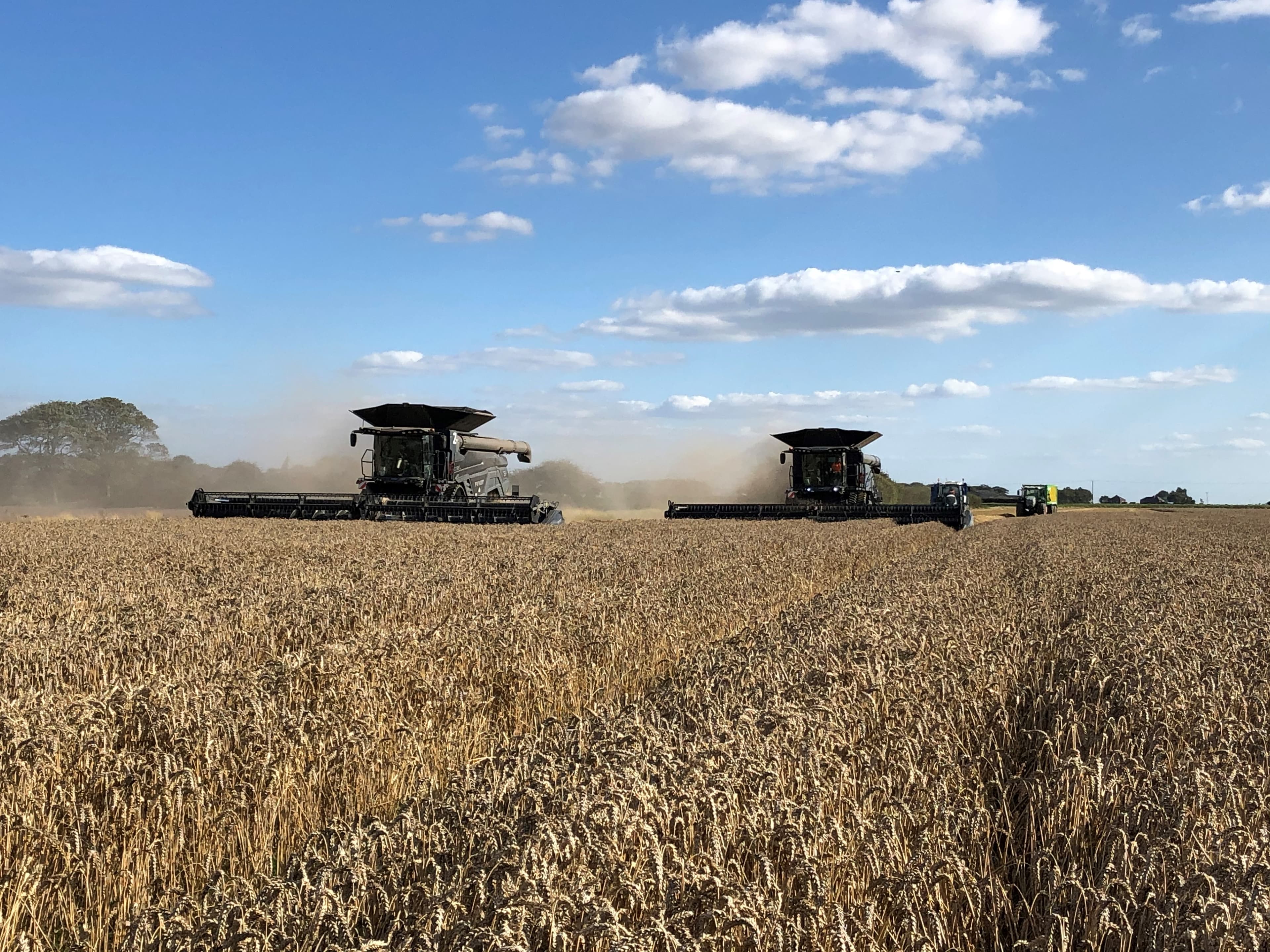 Harvest