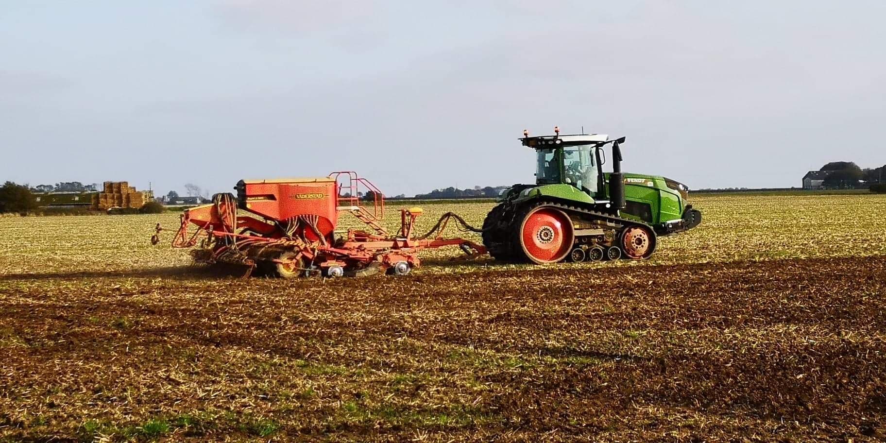 Sowing 2020