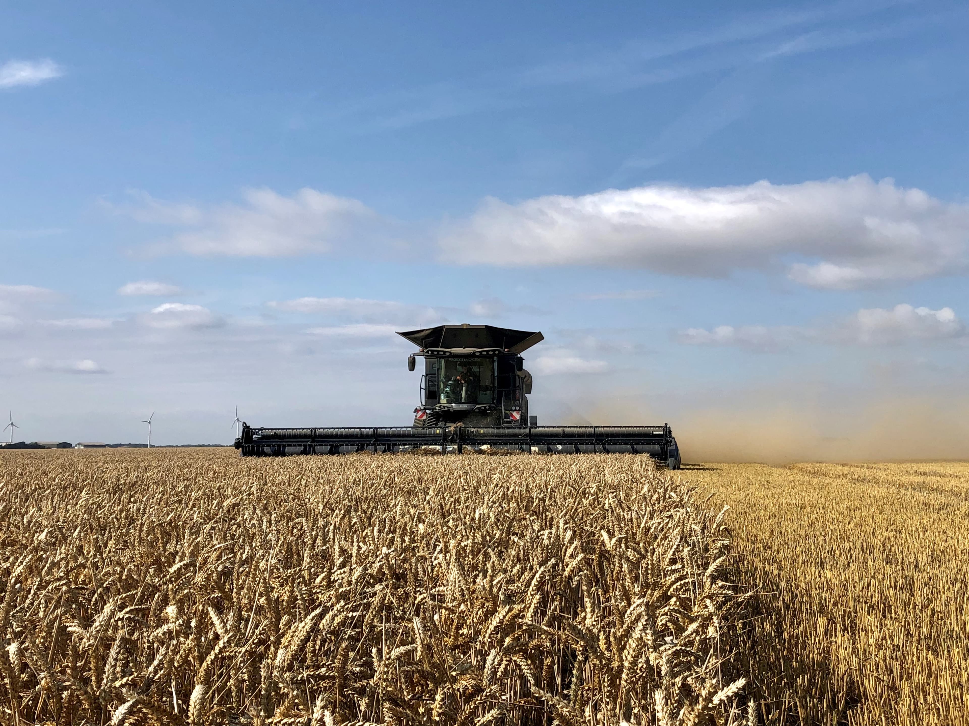Harvest