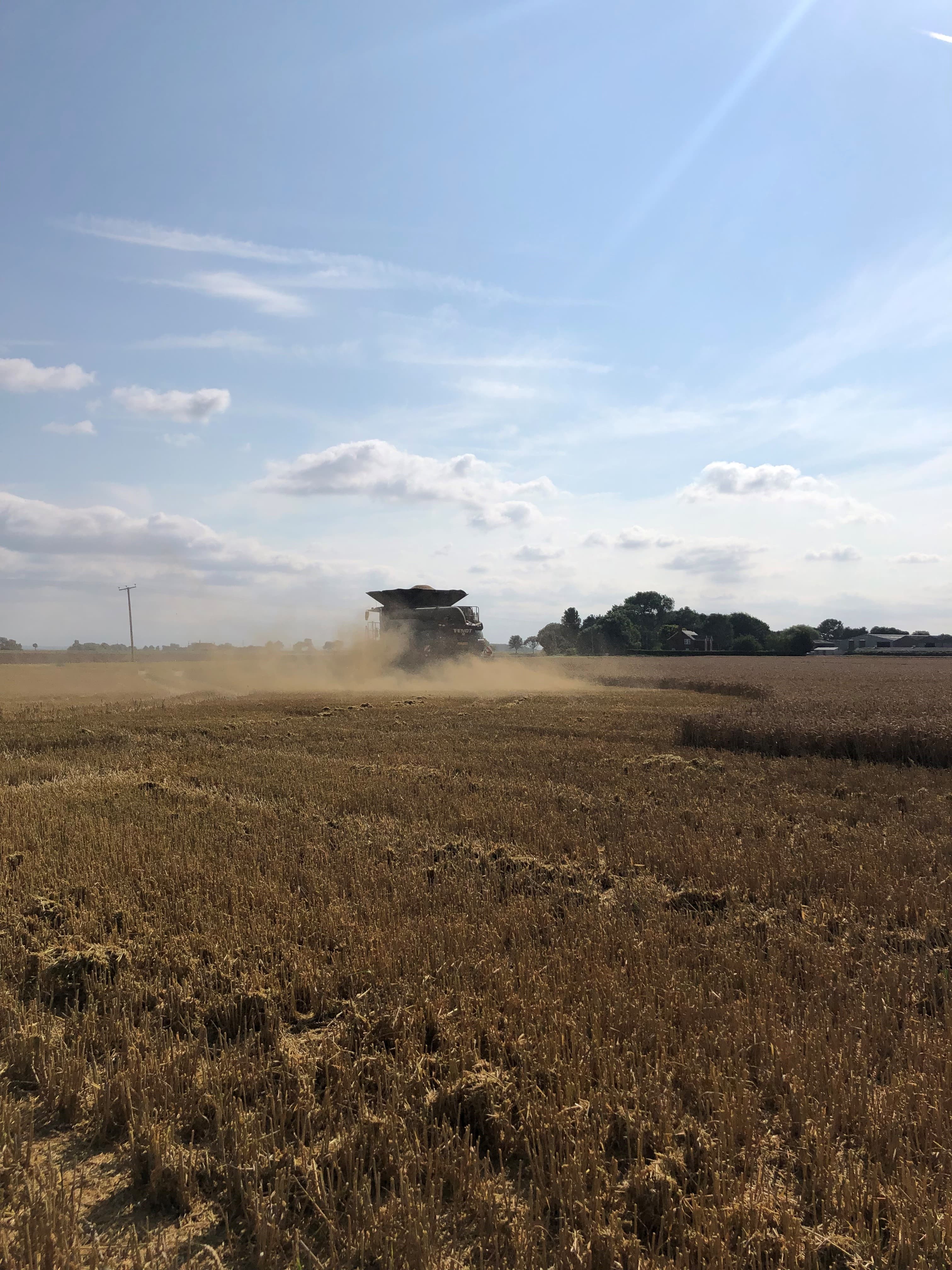 Harvest