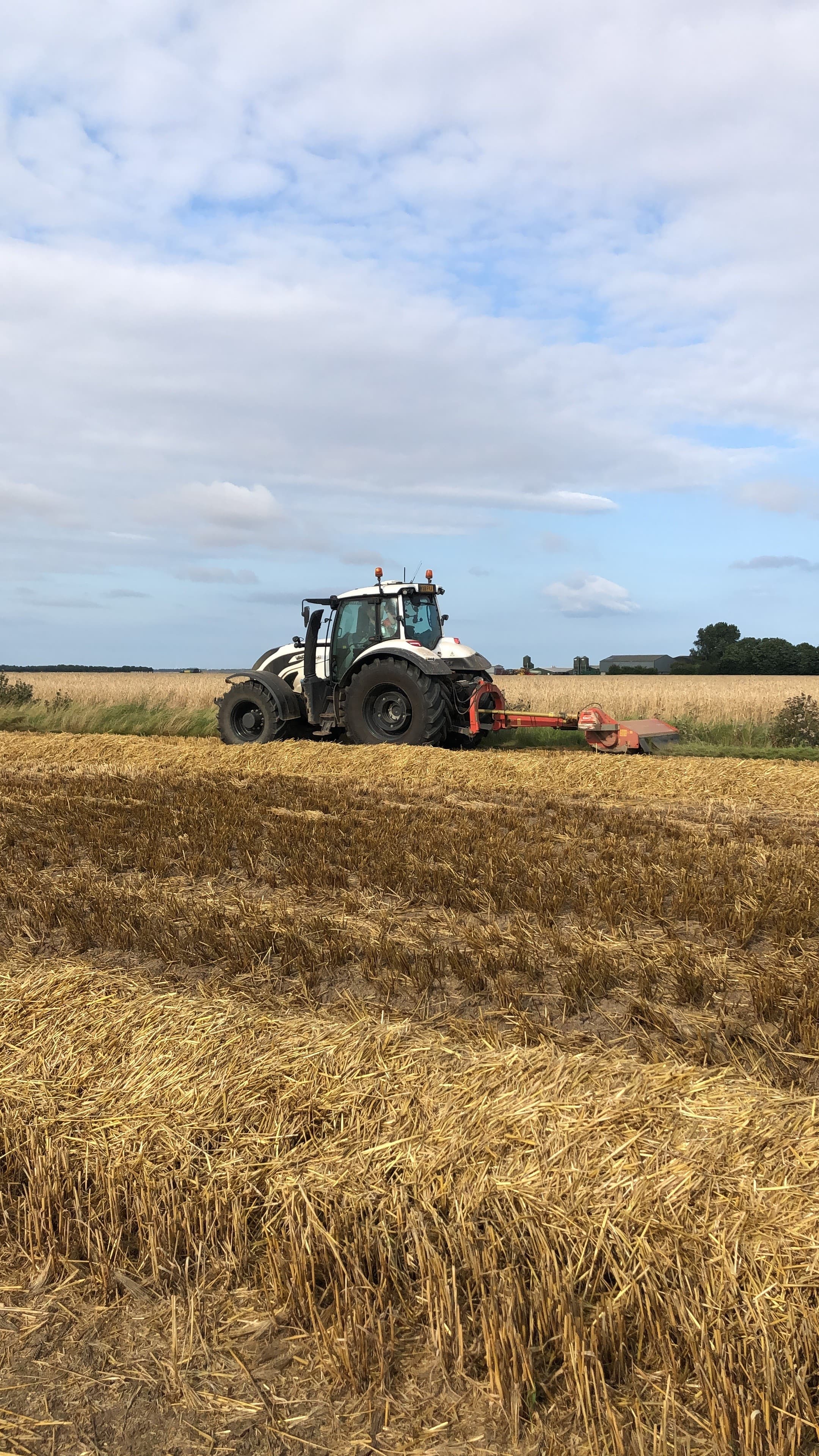 Harvest