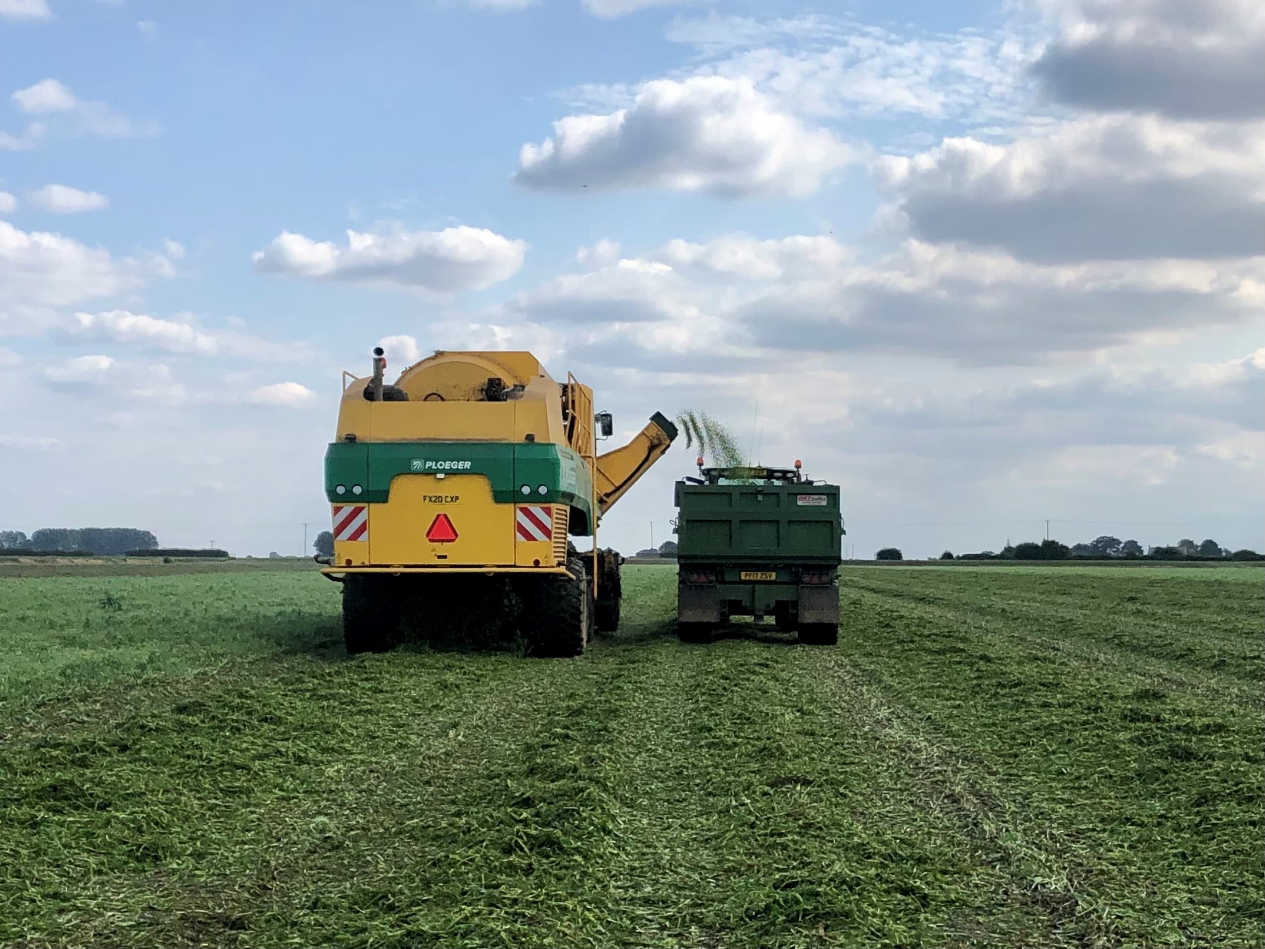 Pea Viners