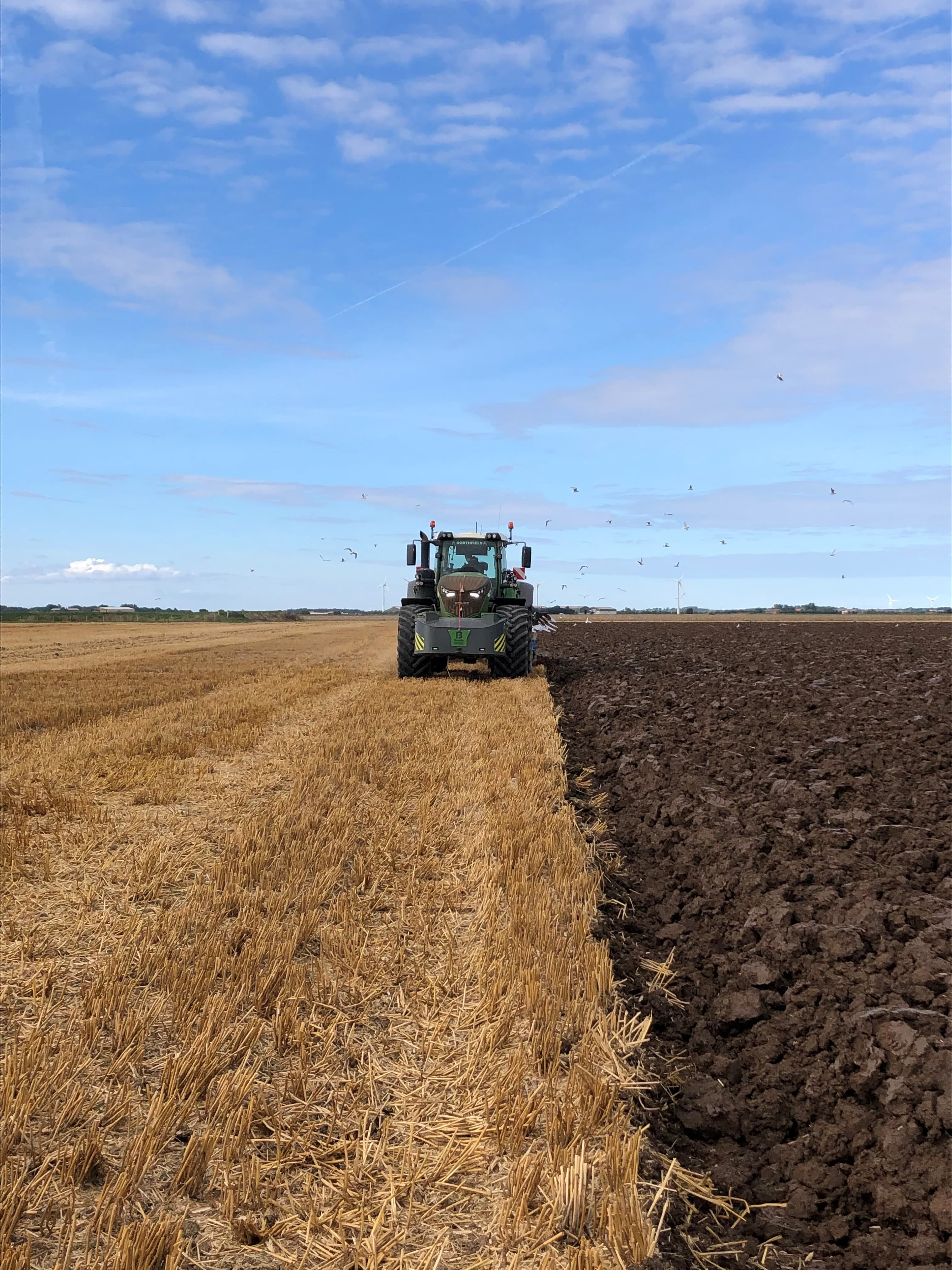Cultivations