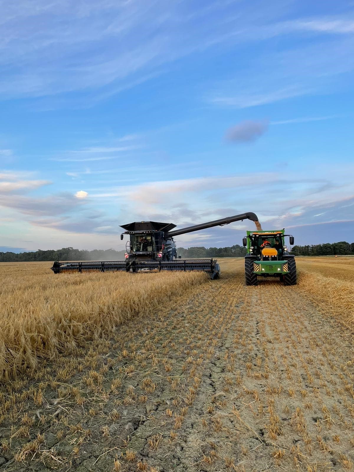Harvest