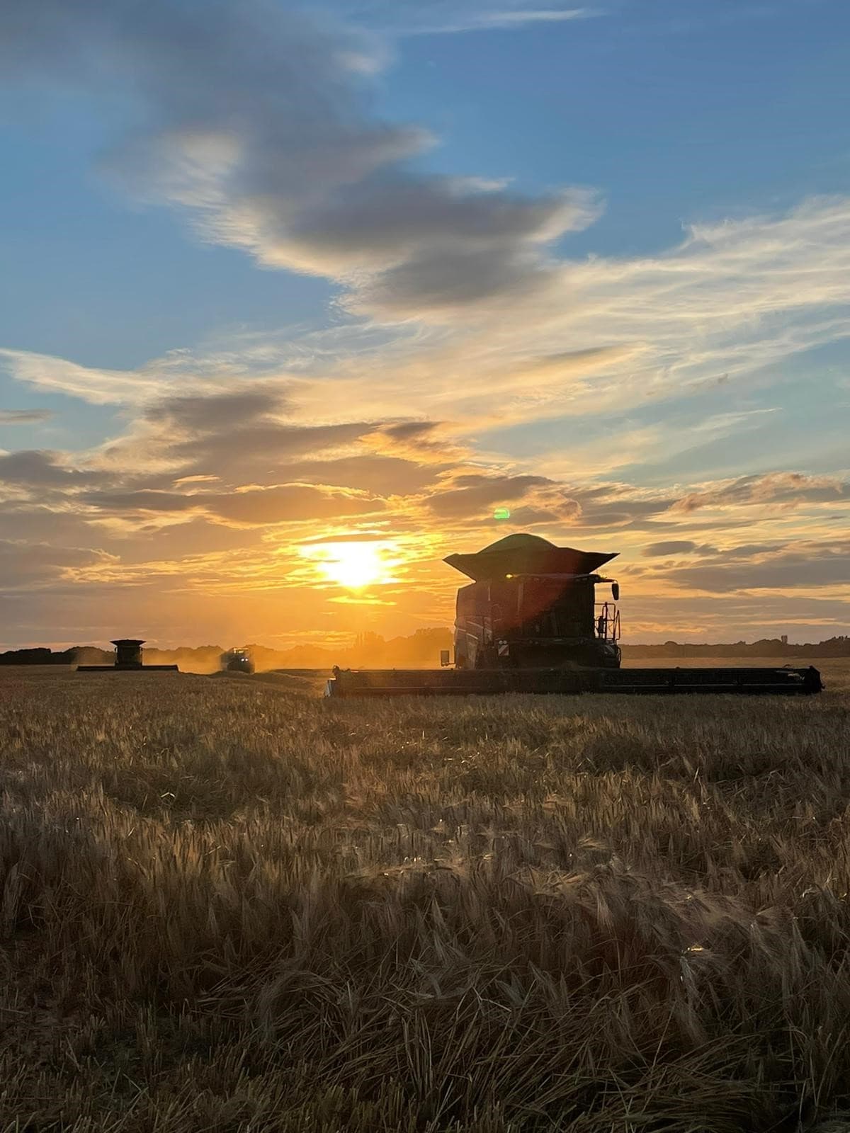Harvest