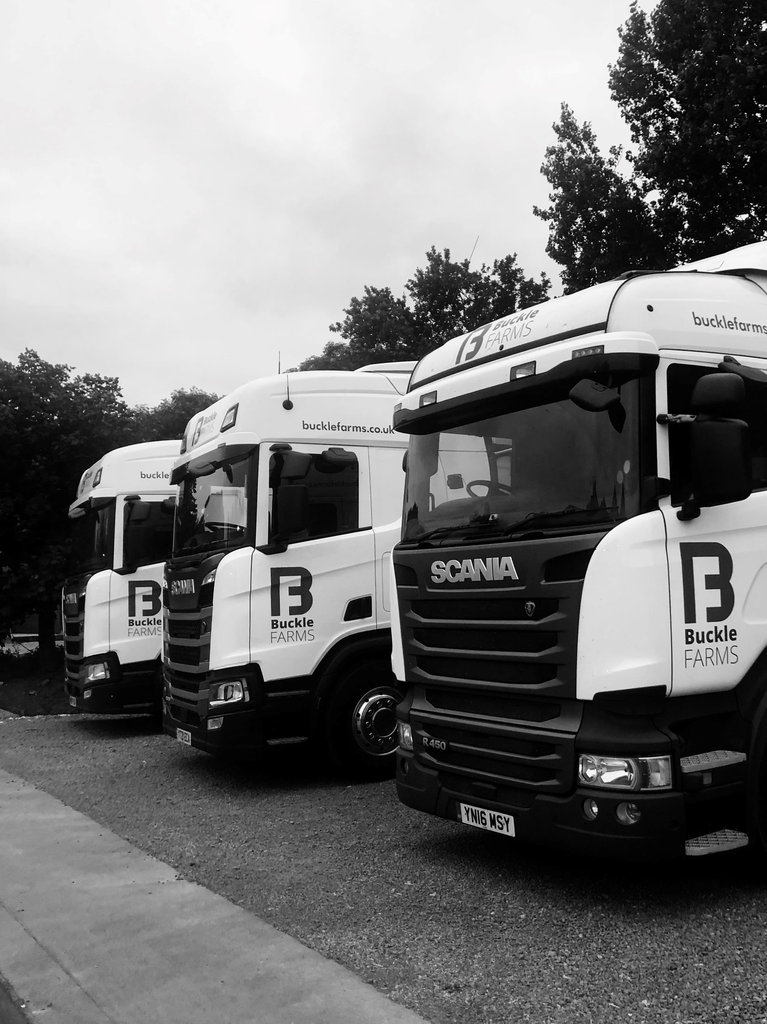 Truck line up