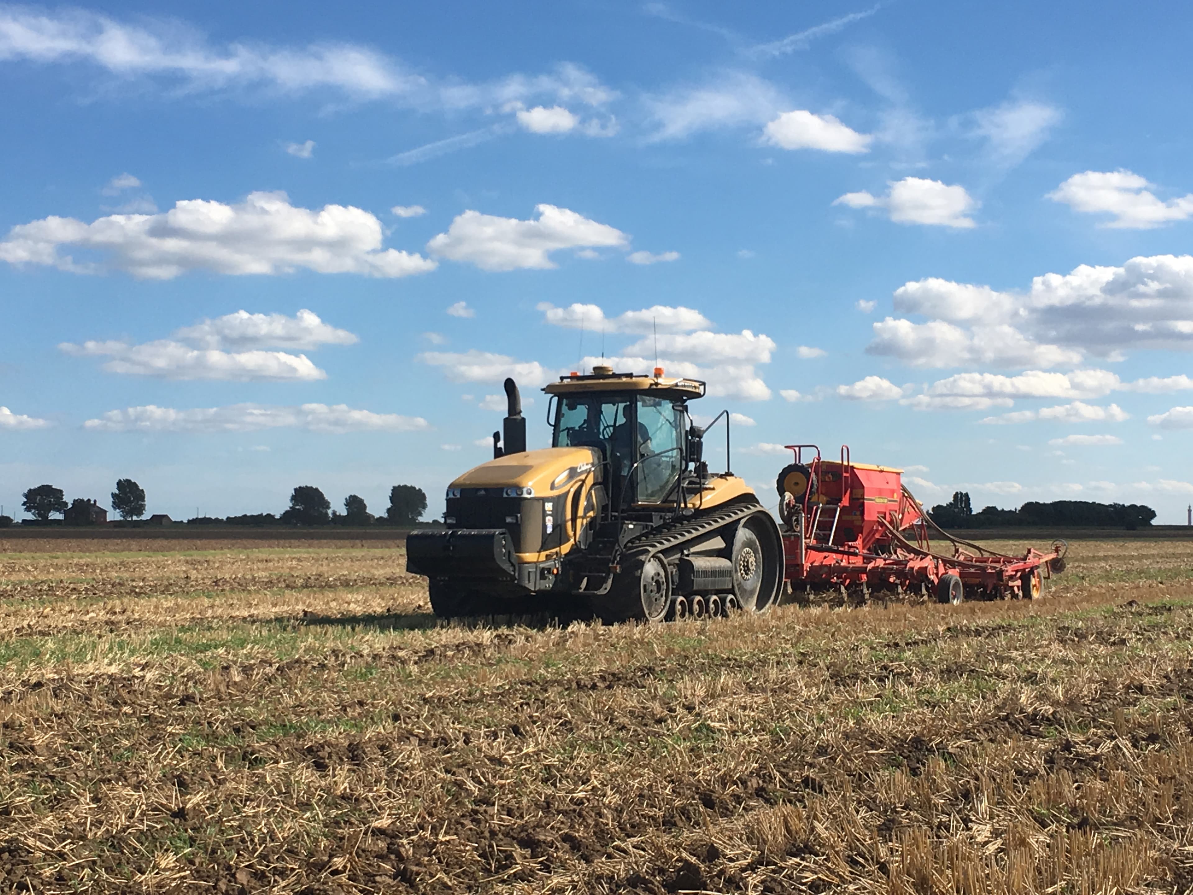 Harvest 2016