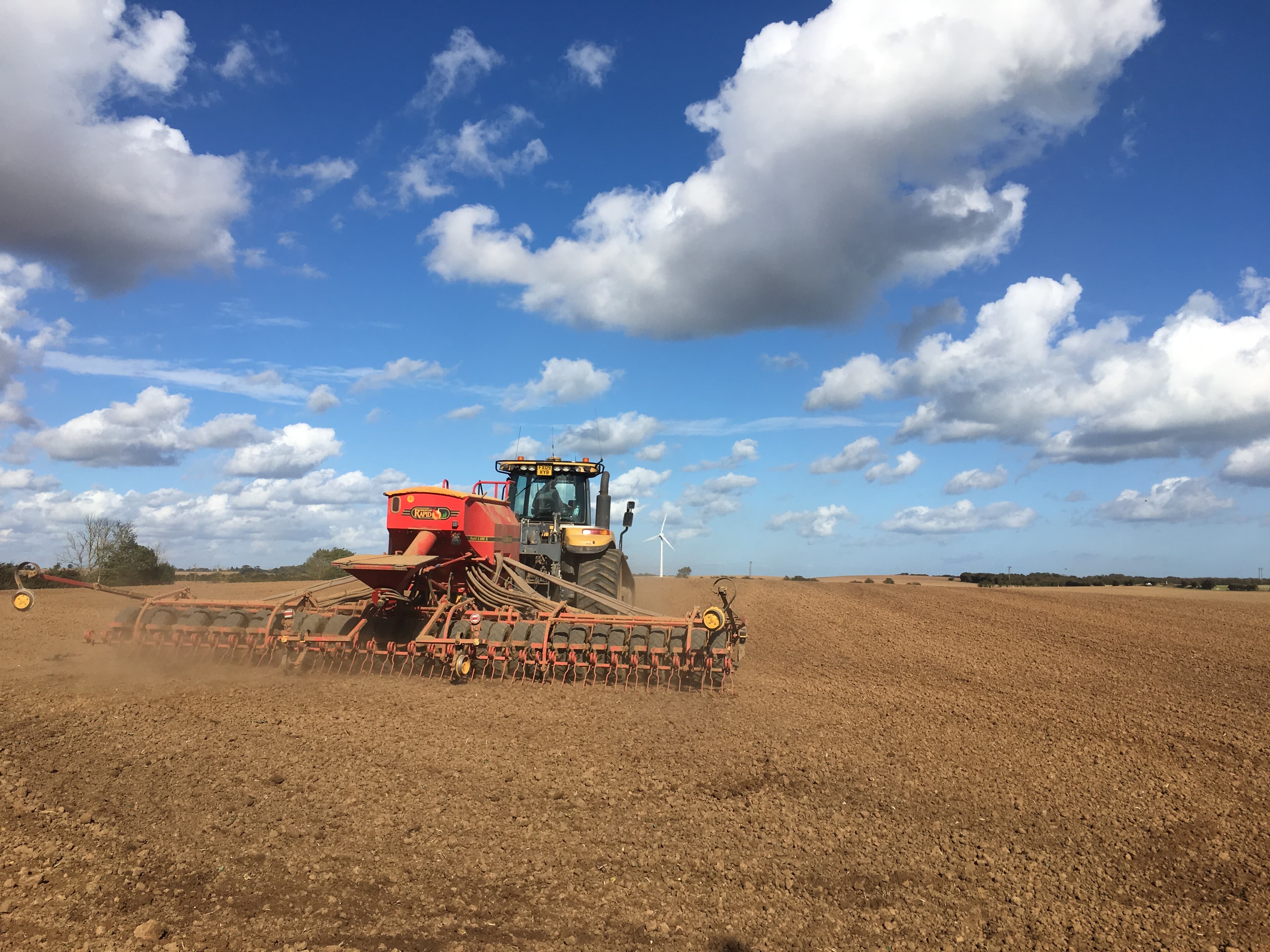 Harvest 2016