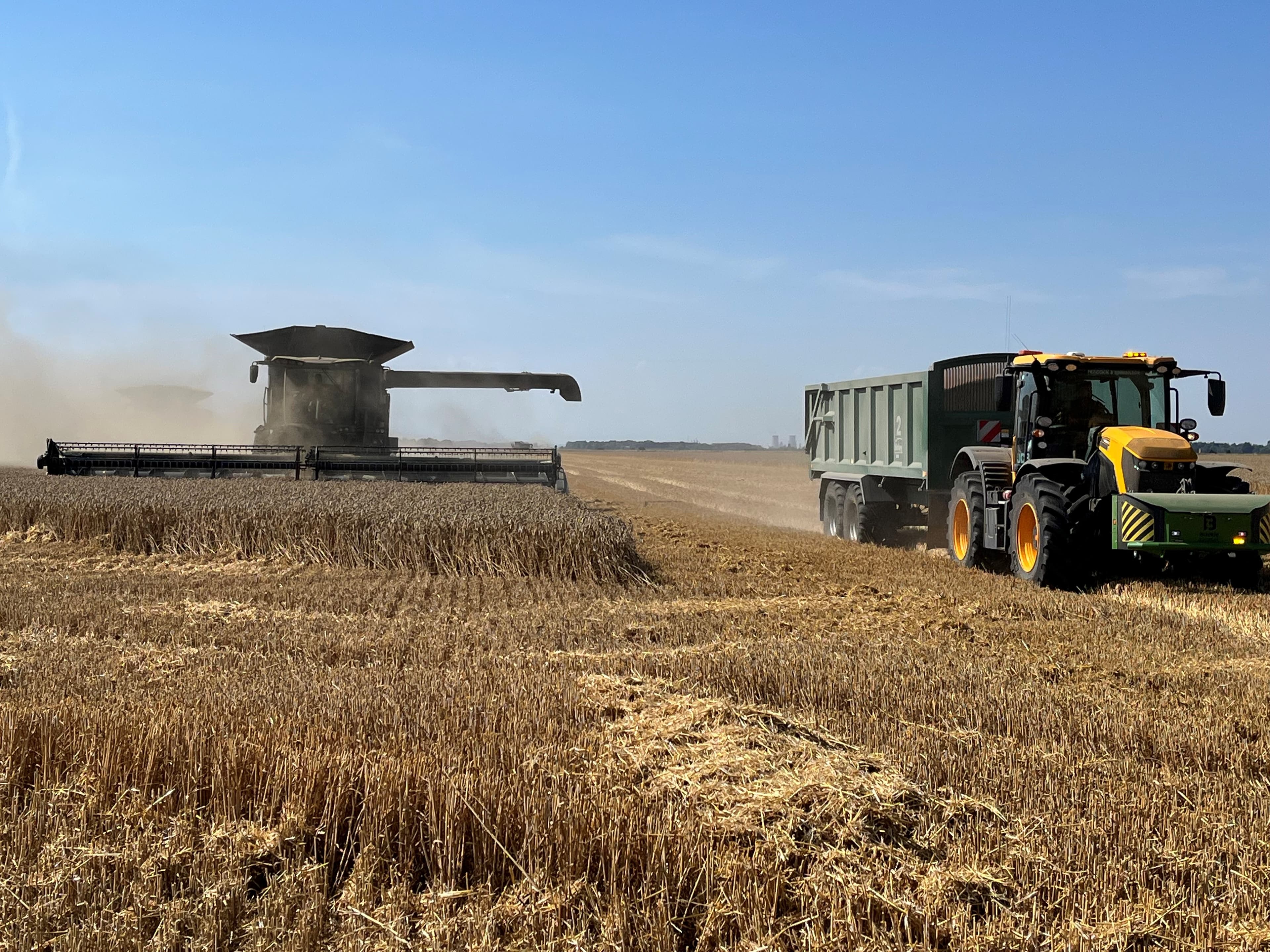 Harvest