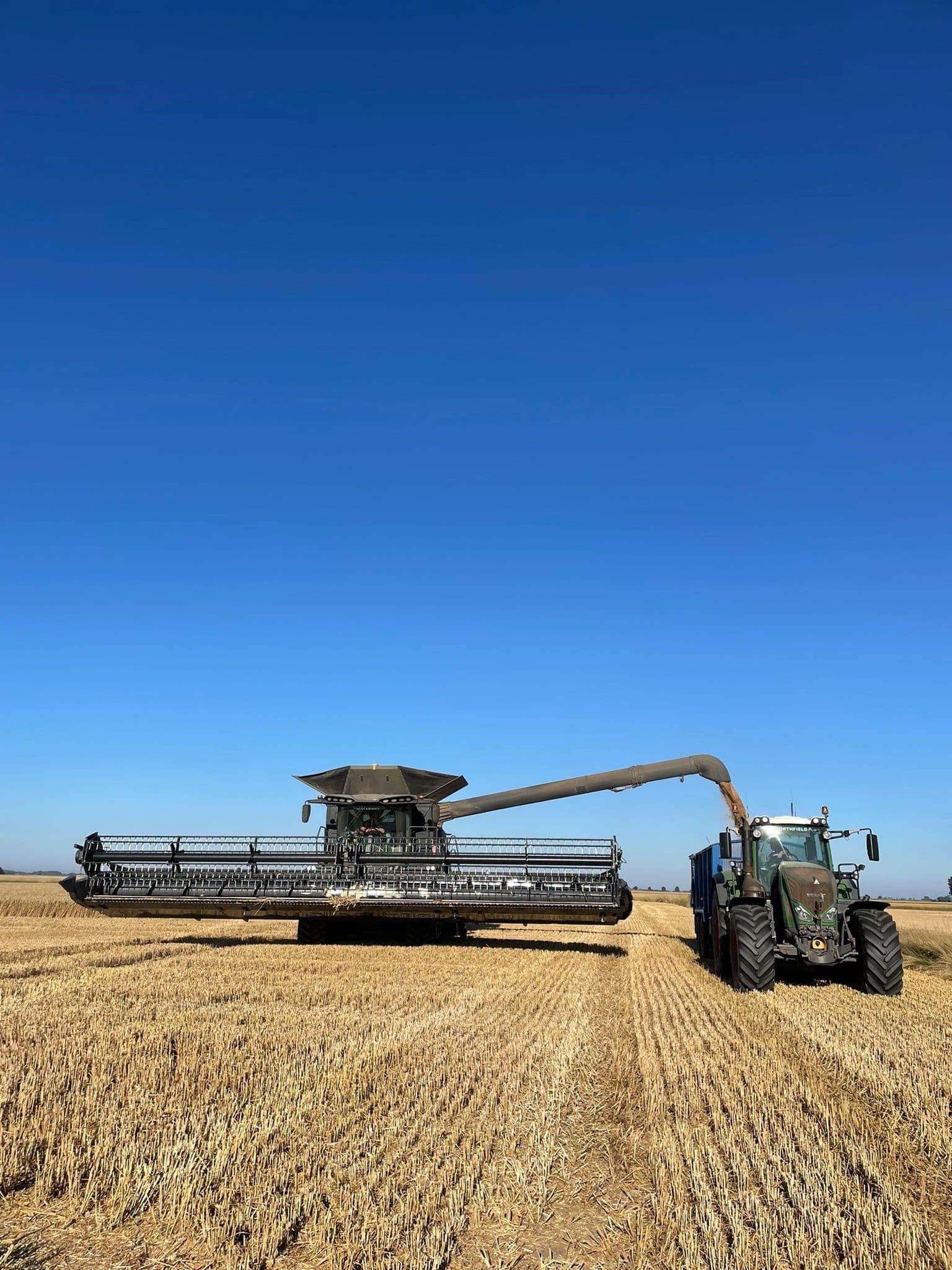 Harvest