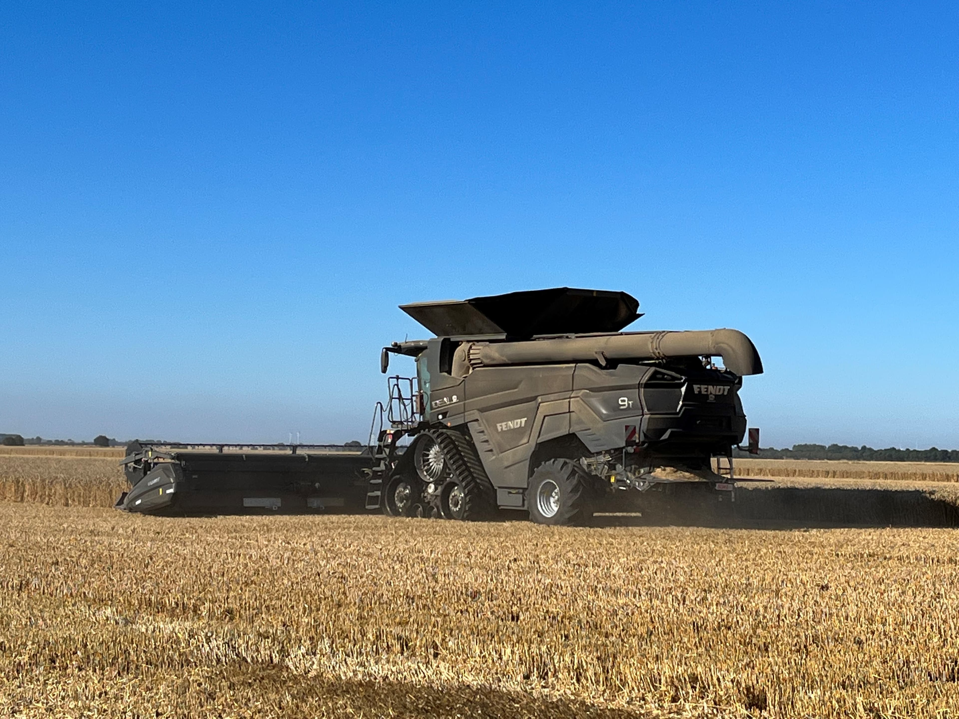 Harvest