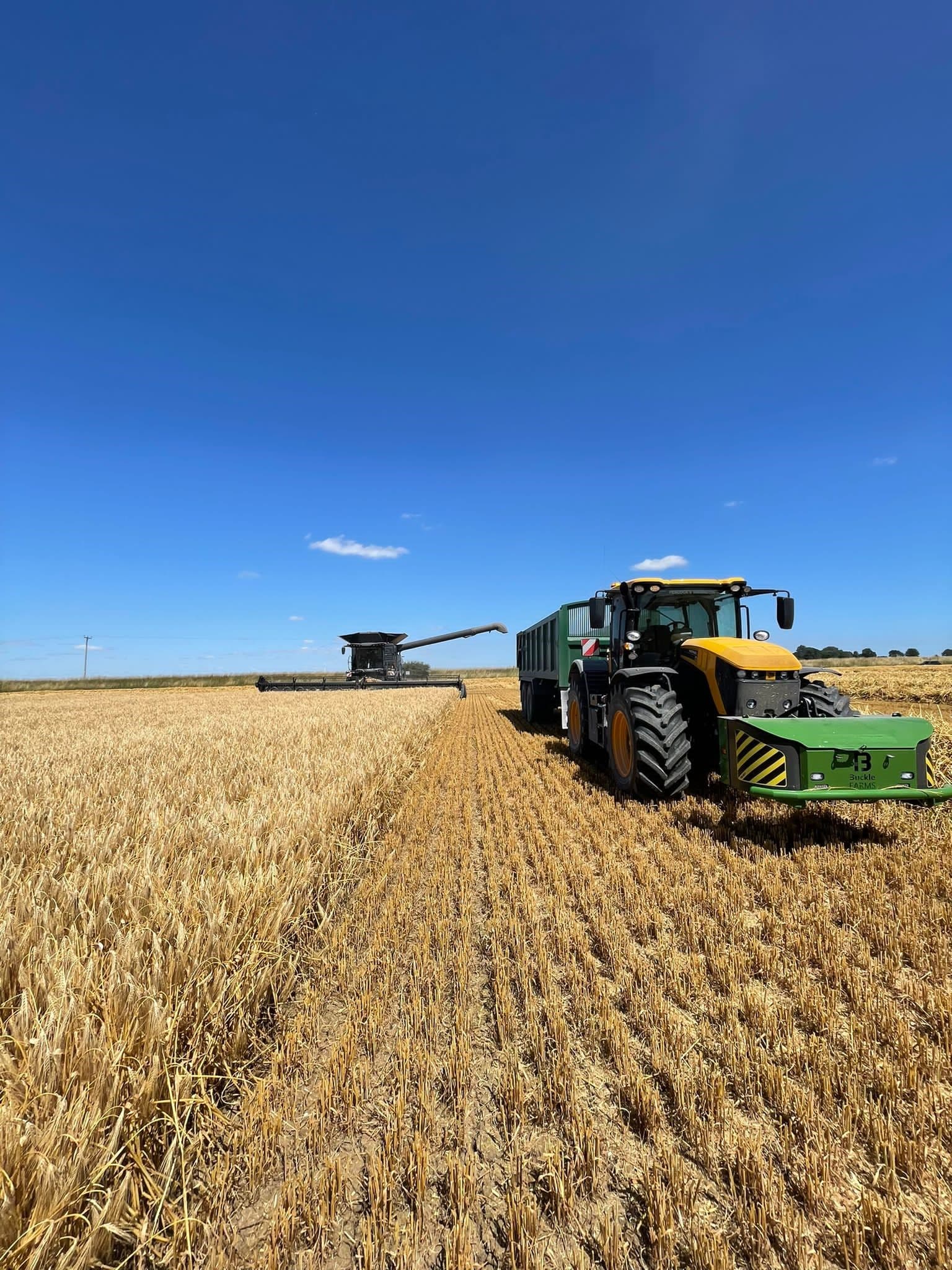 Harvest