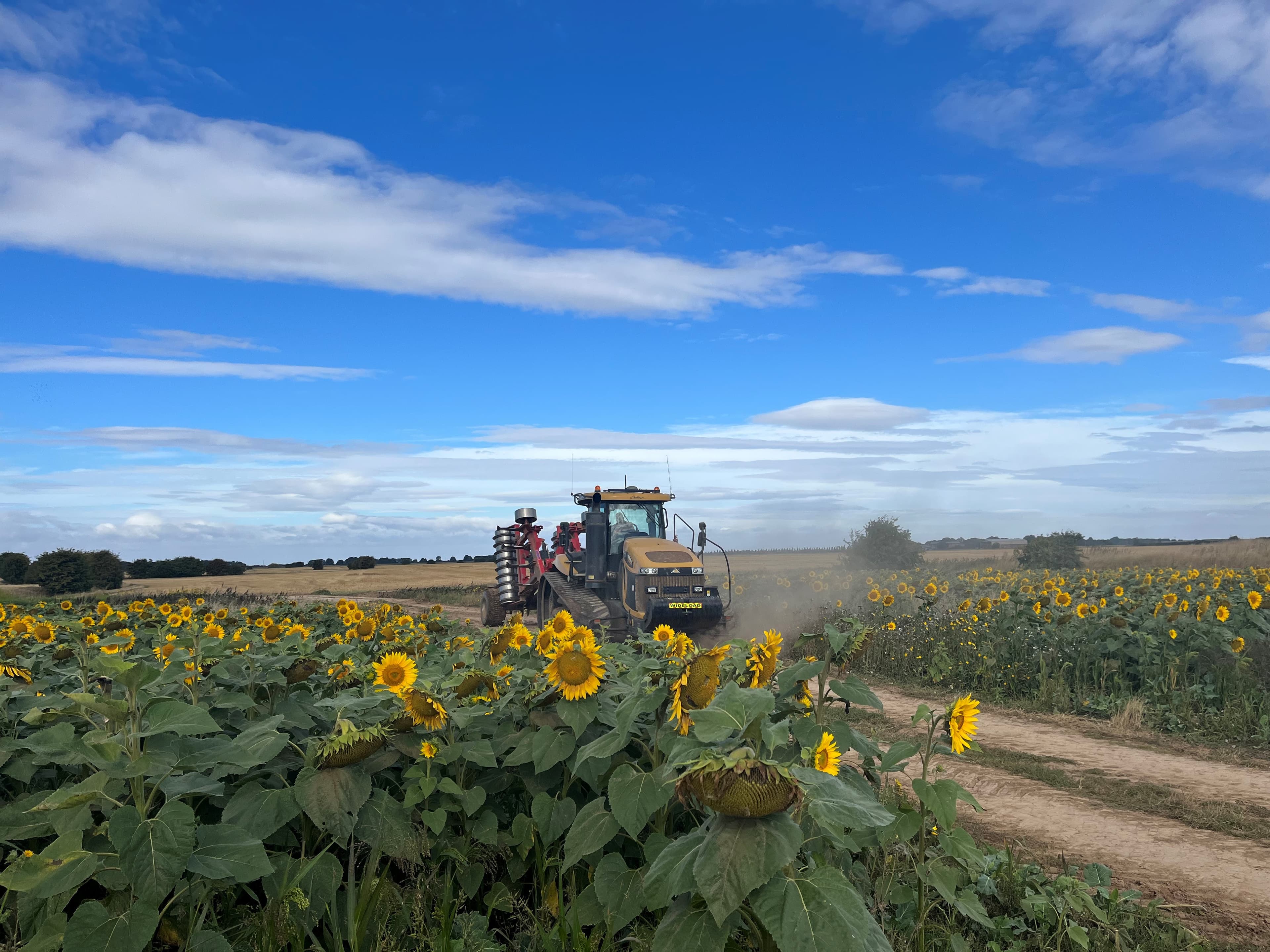 Harvest