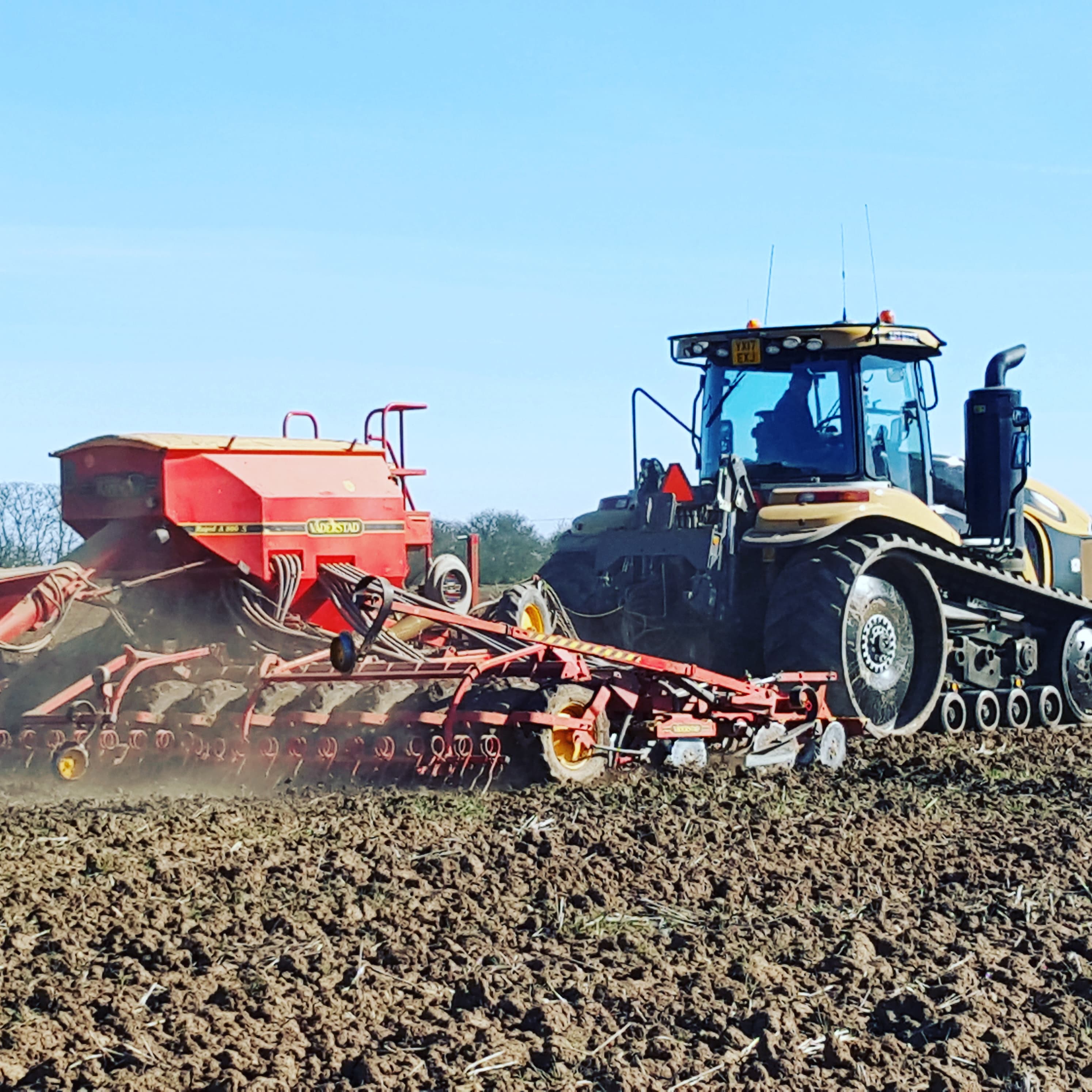 Spring Sowing 2017