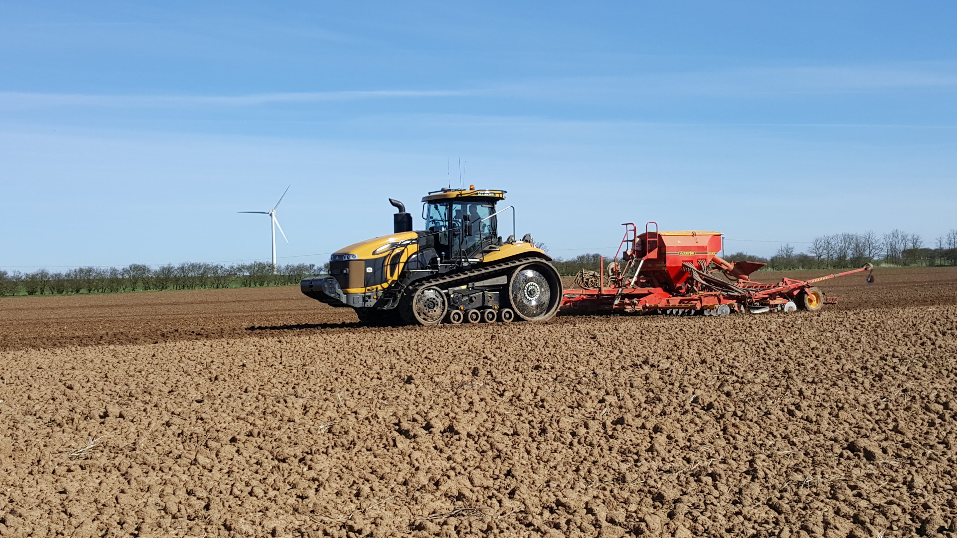 Spring Sowing 2017