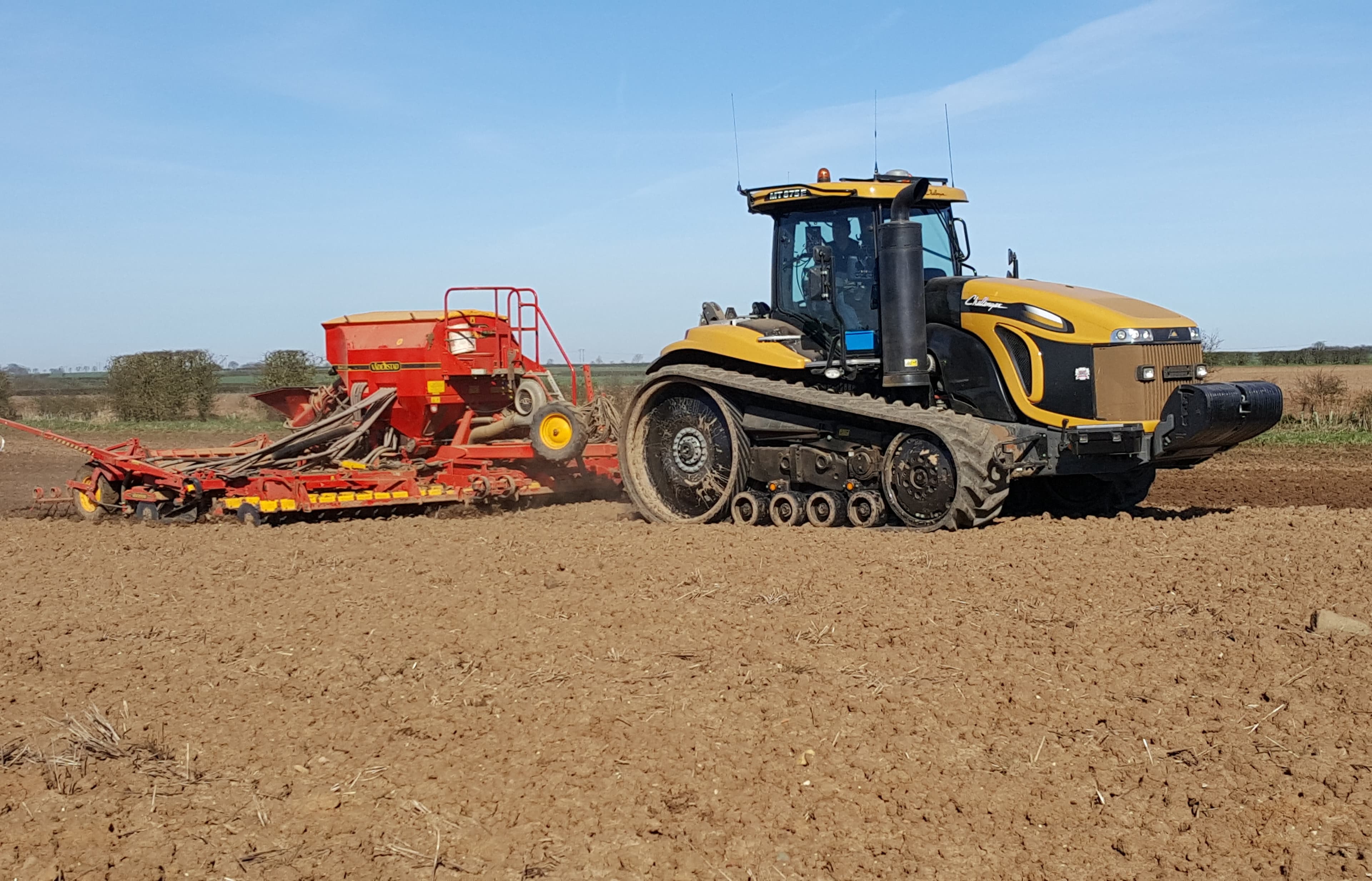 Spring Sowing 2017