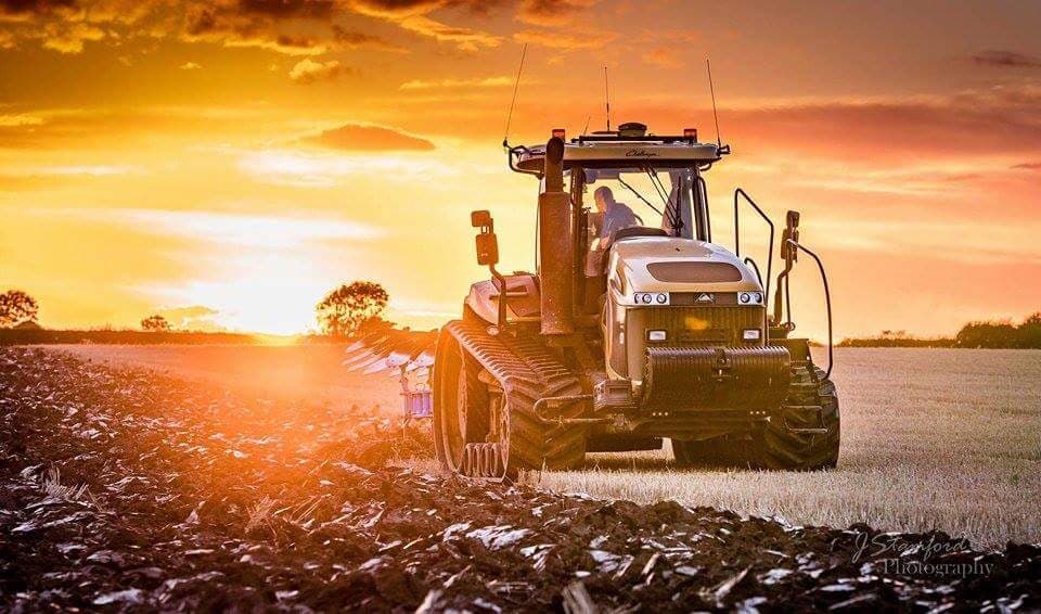 Harvest 2017