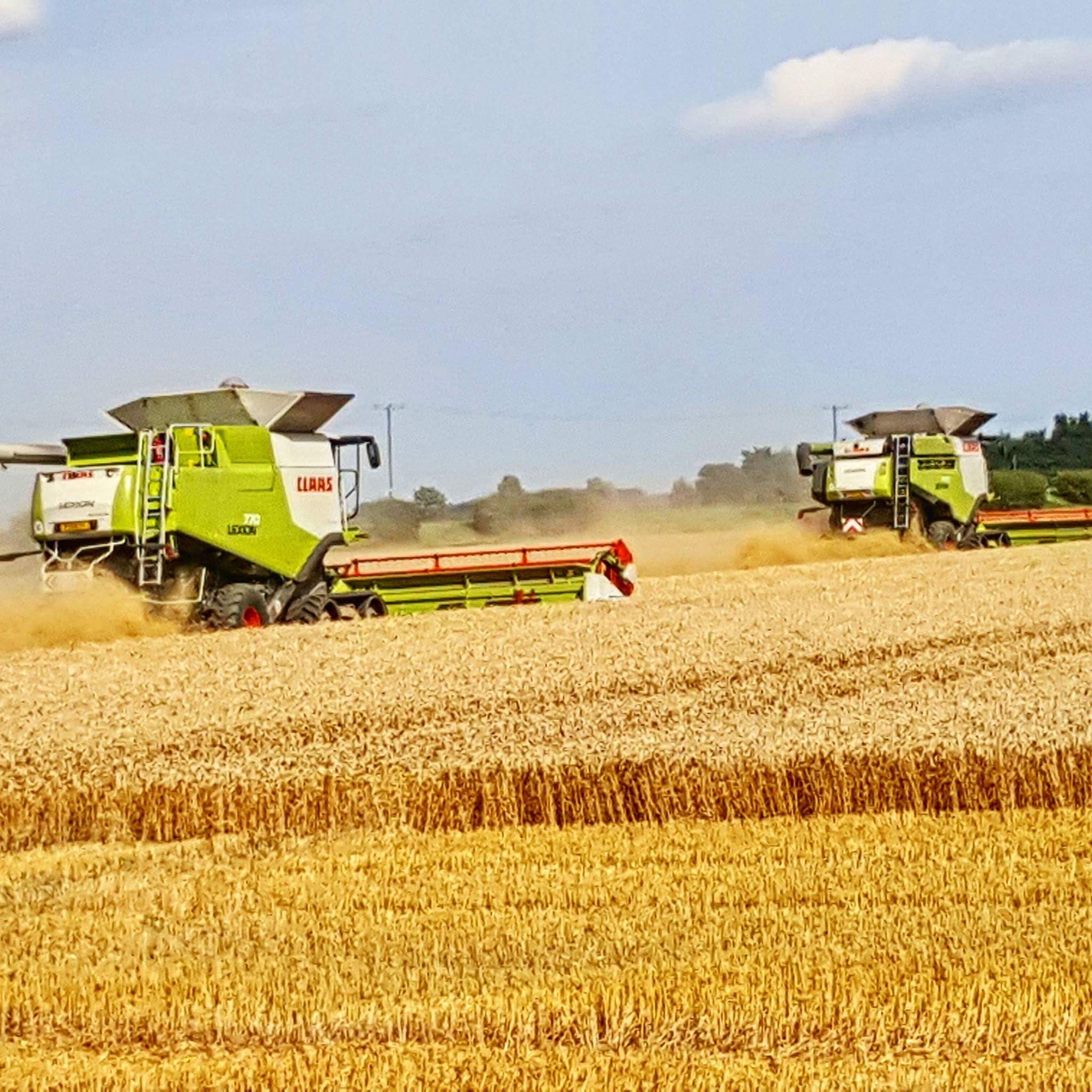 Harvest 2017
