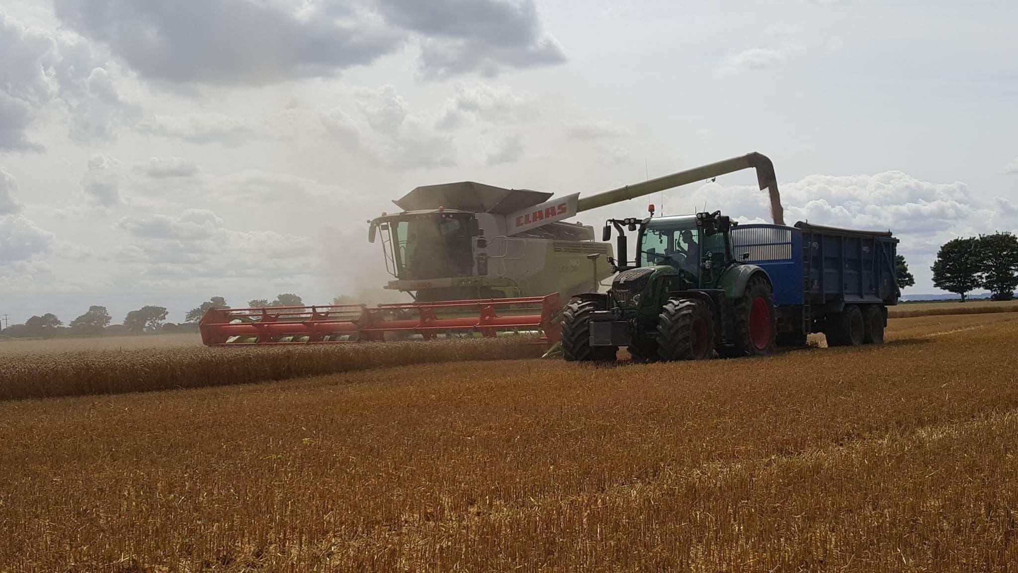Harvest 2017