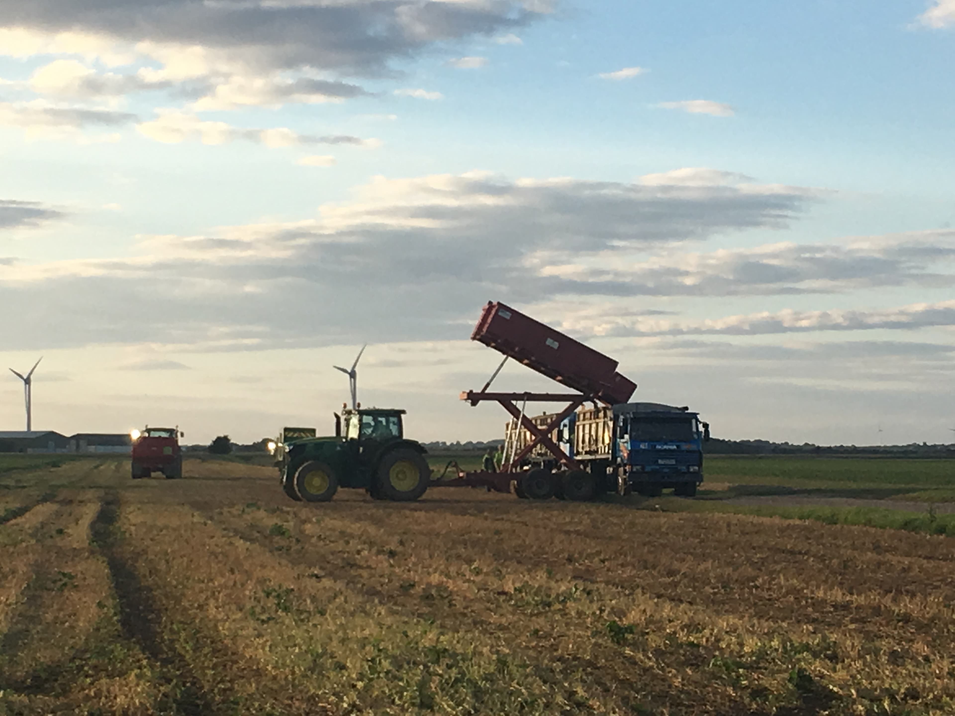 Harvest 2017