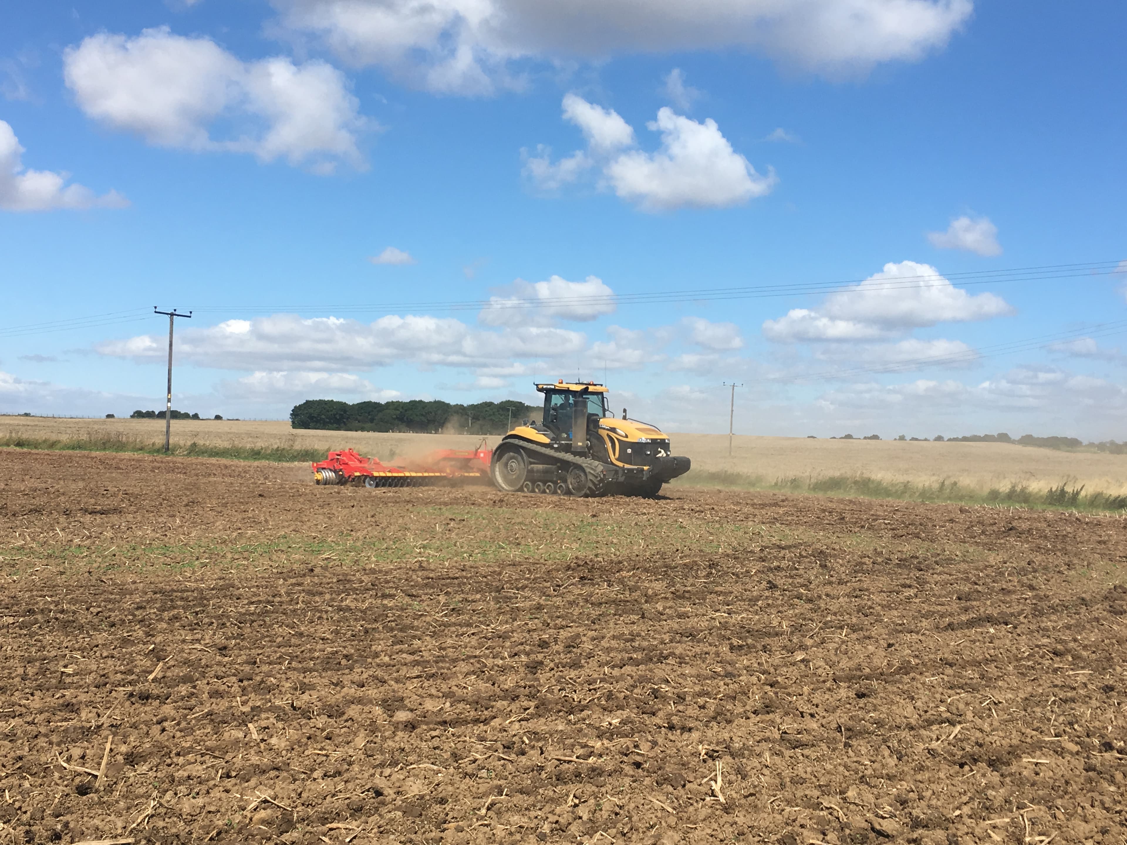 Harvest 2017