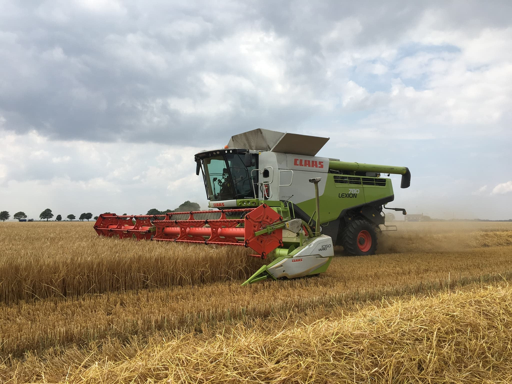 Barley harvest