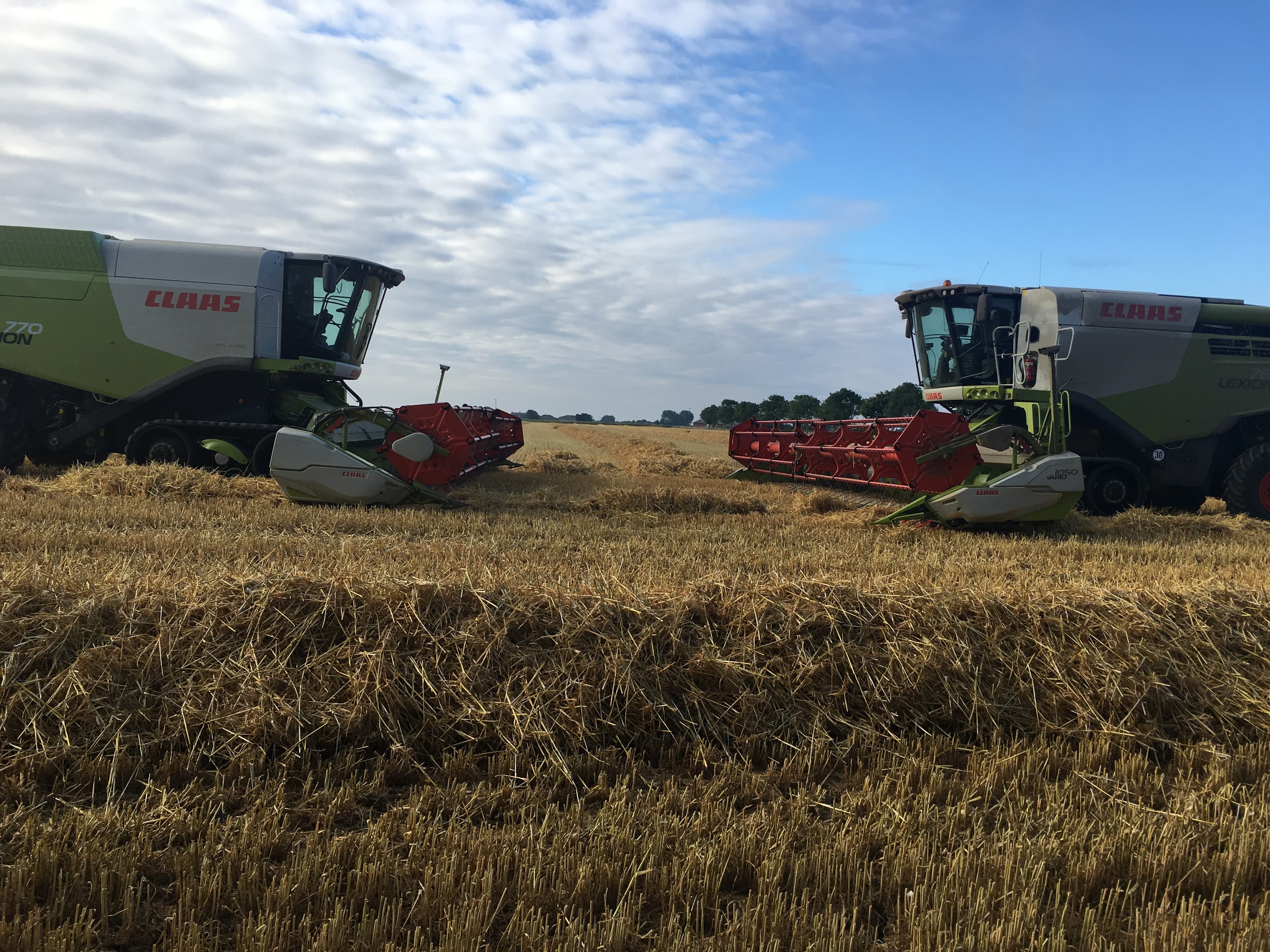 Harvest