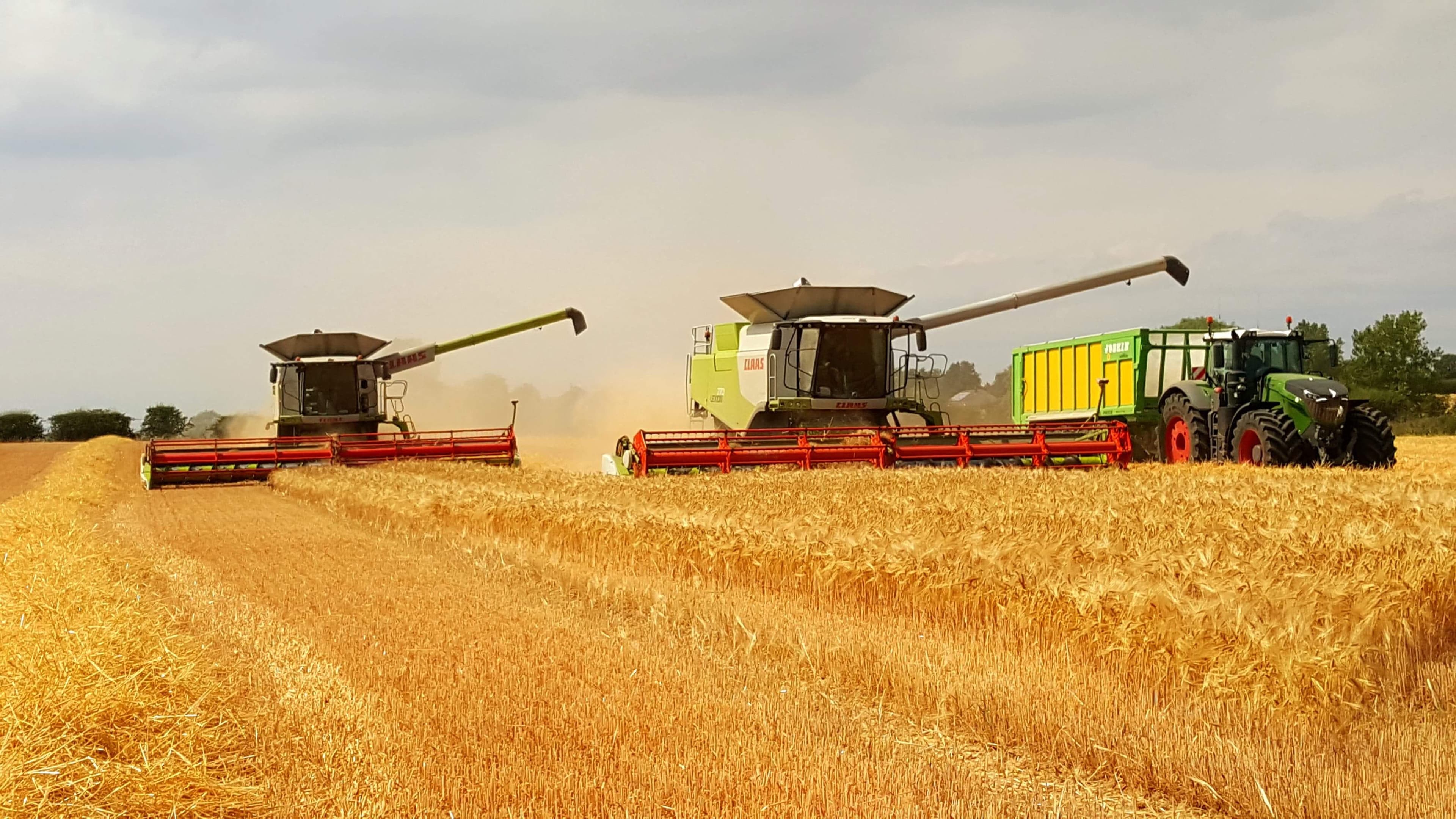 Harvest