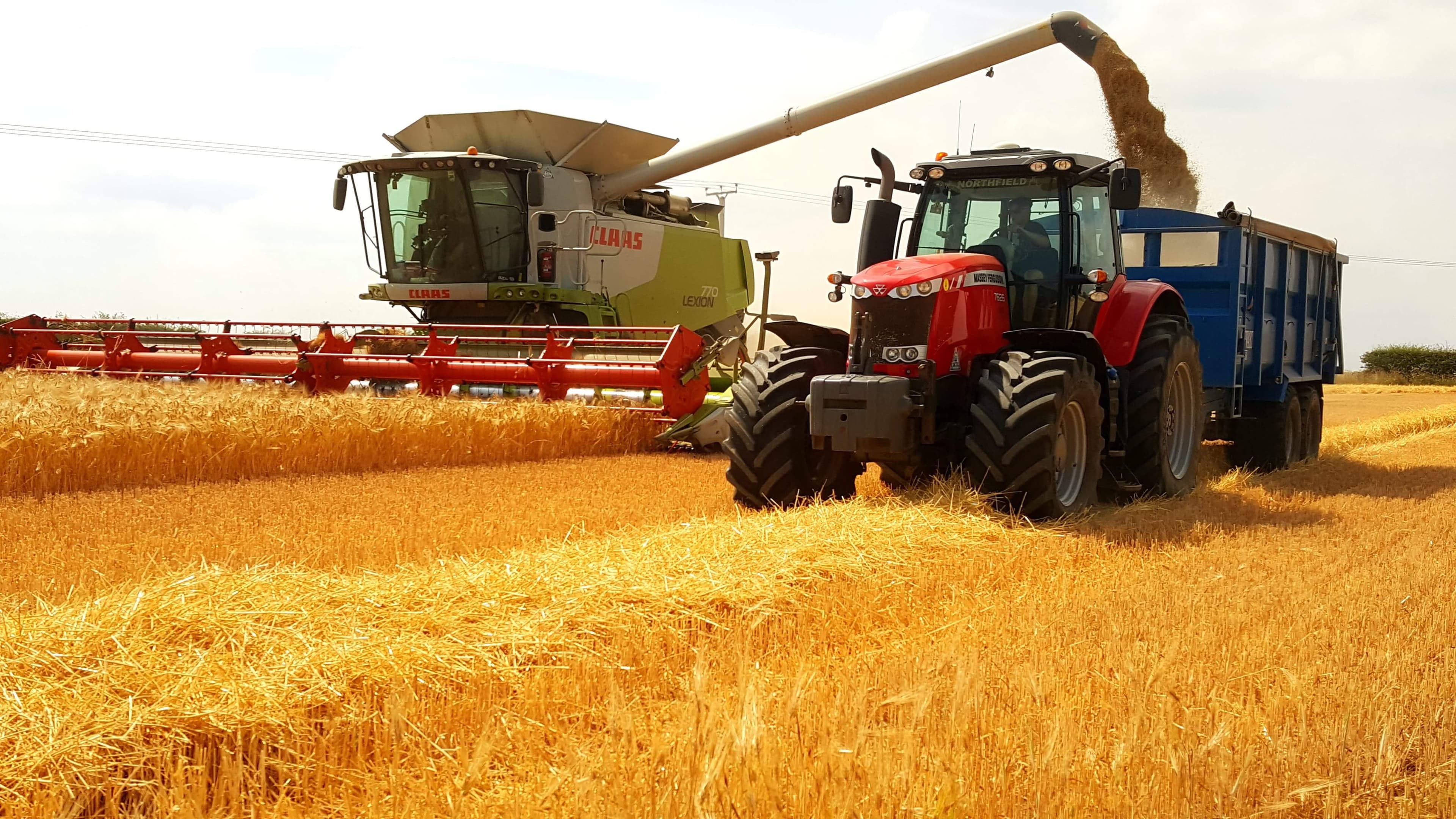 Harvest 2018