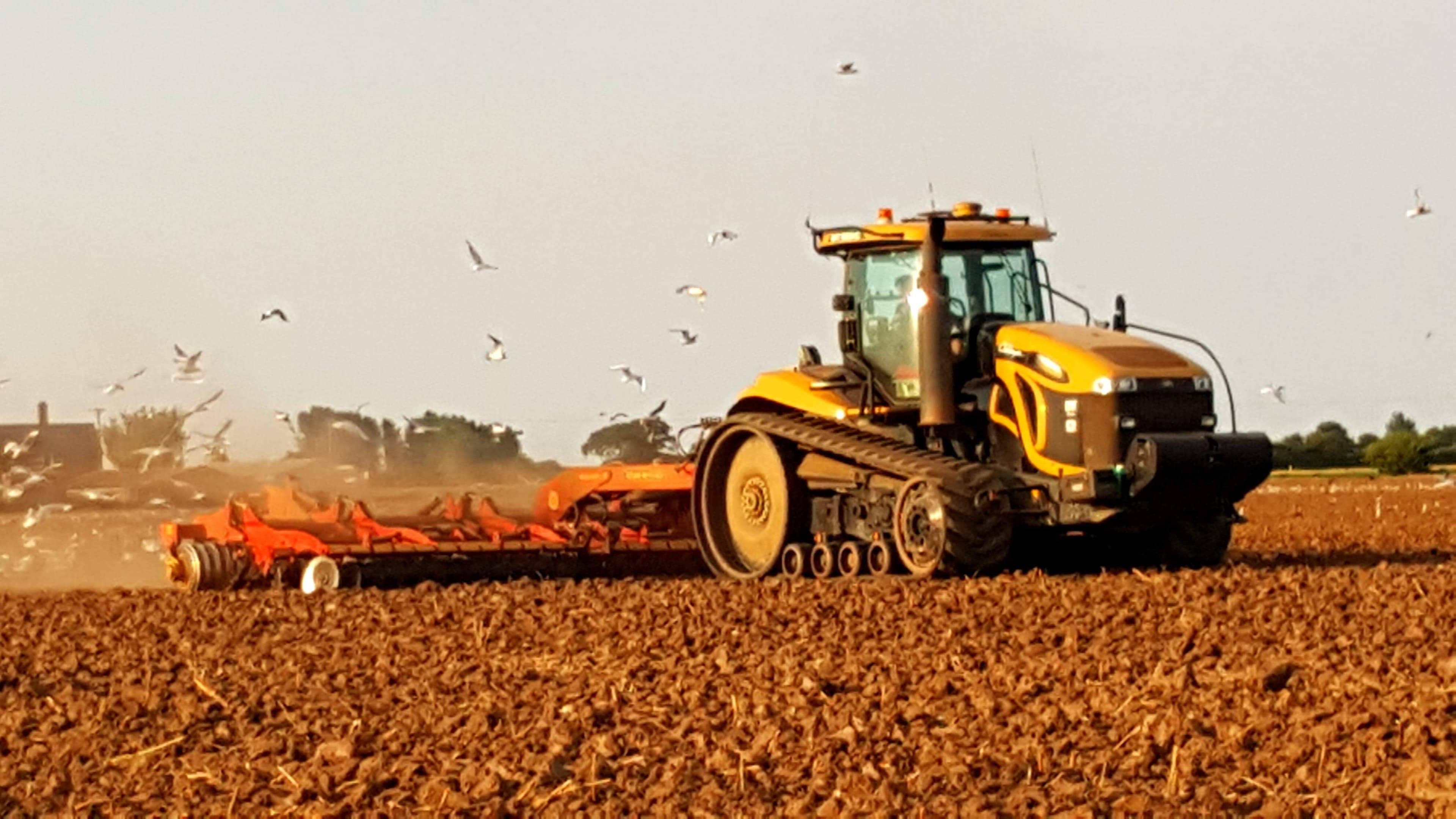 Working the very dry land!