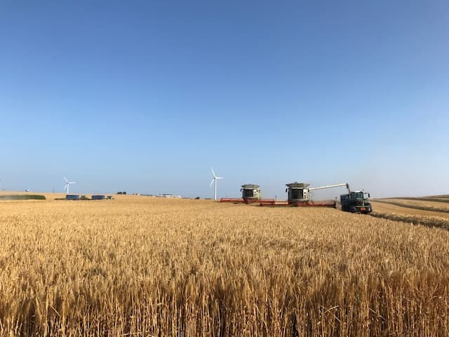 Harvest