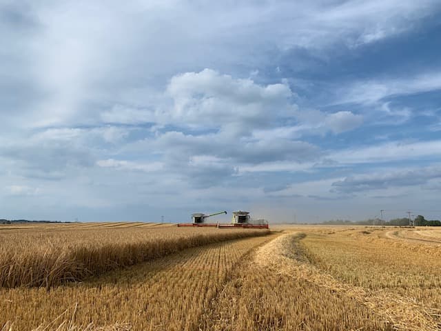Harvest