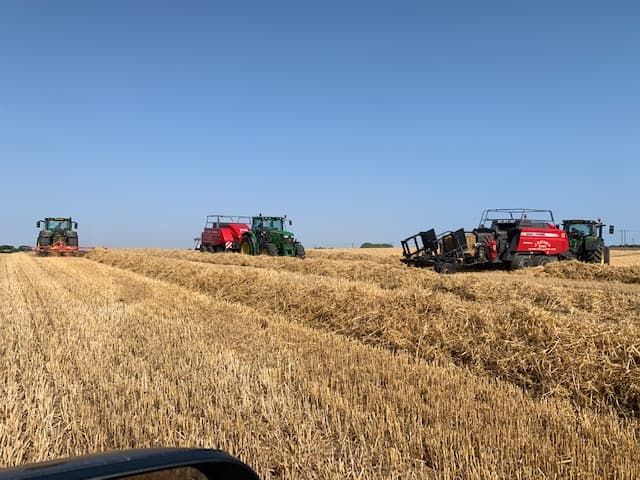 Harvest 2019