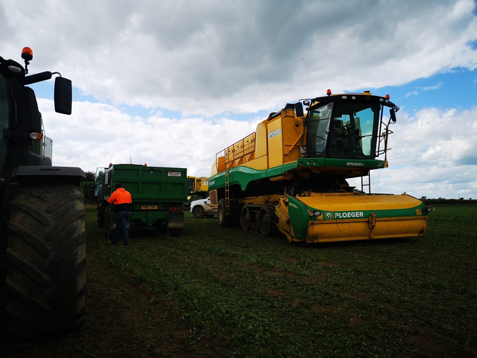 Pea harvest has begun