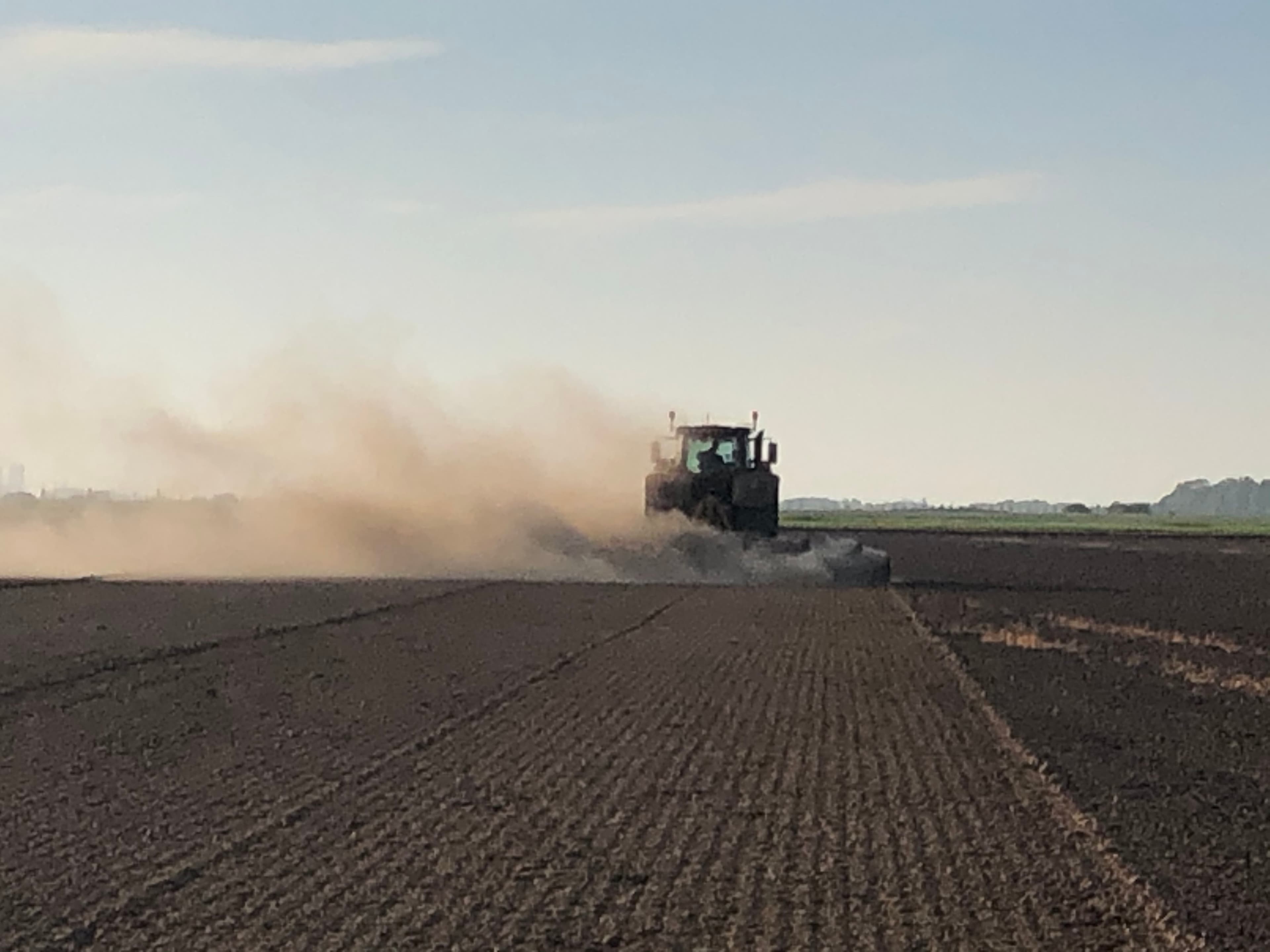 So dry!!! Preparing land to be sown with Birds Eye peas.