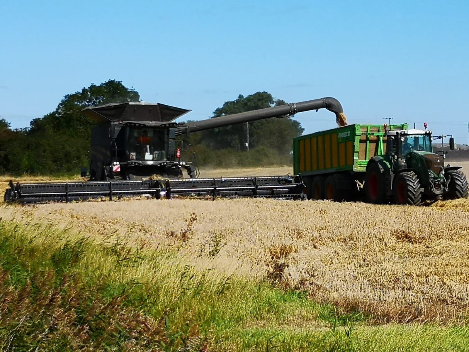 Harvest