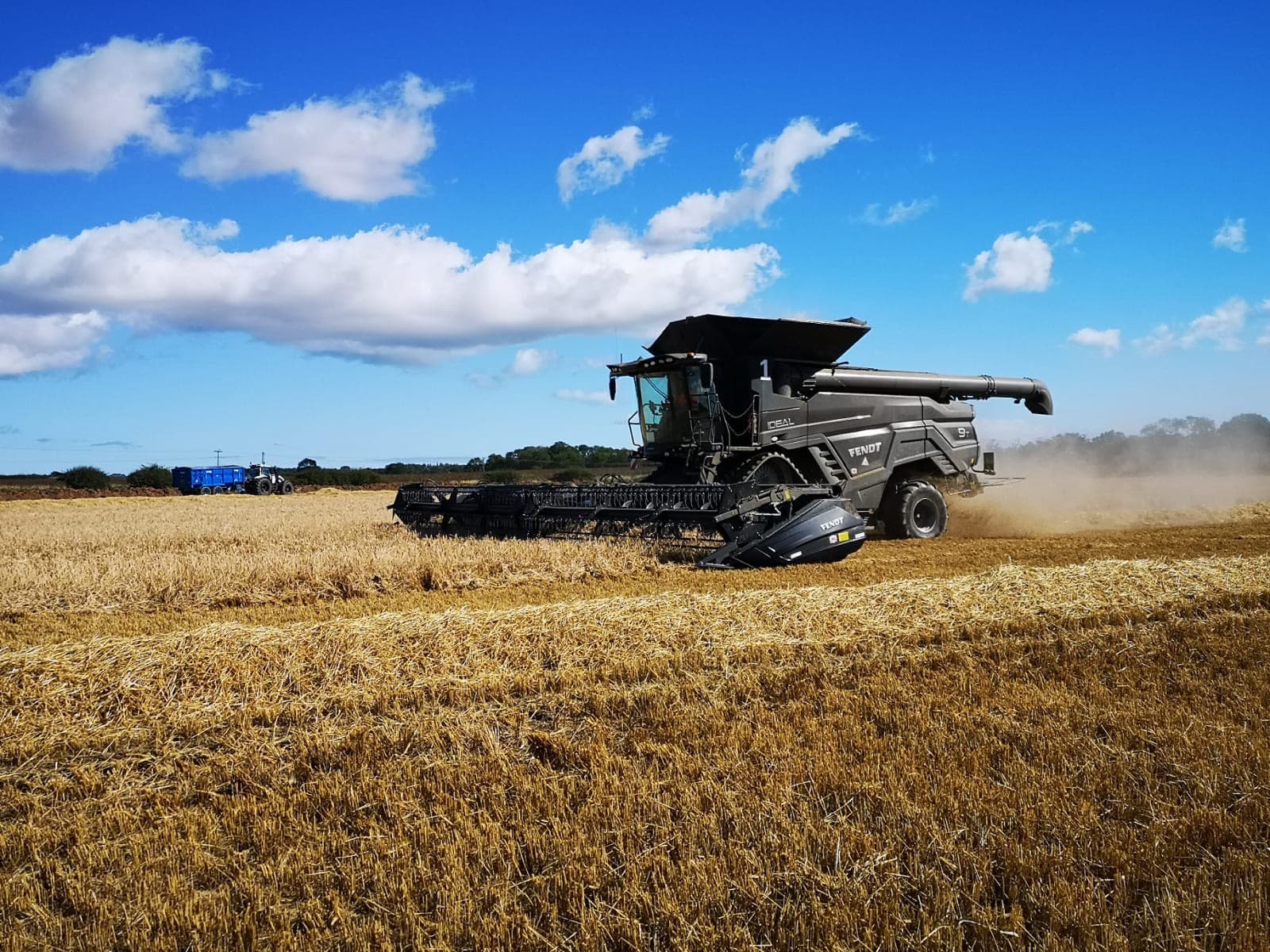 Harvest