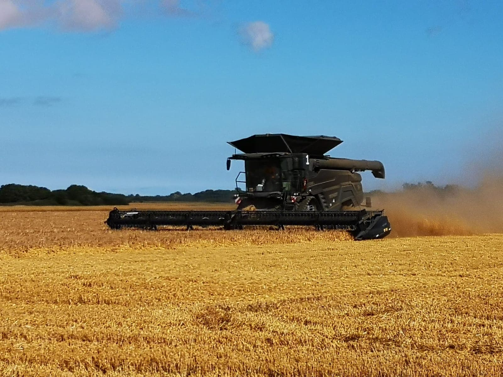 Harvest